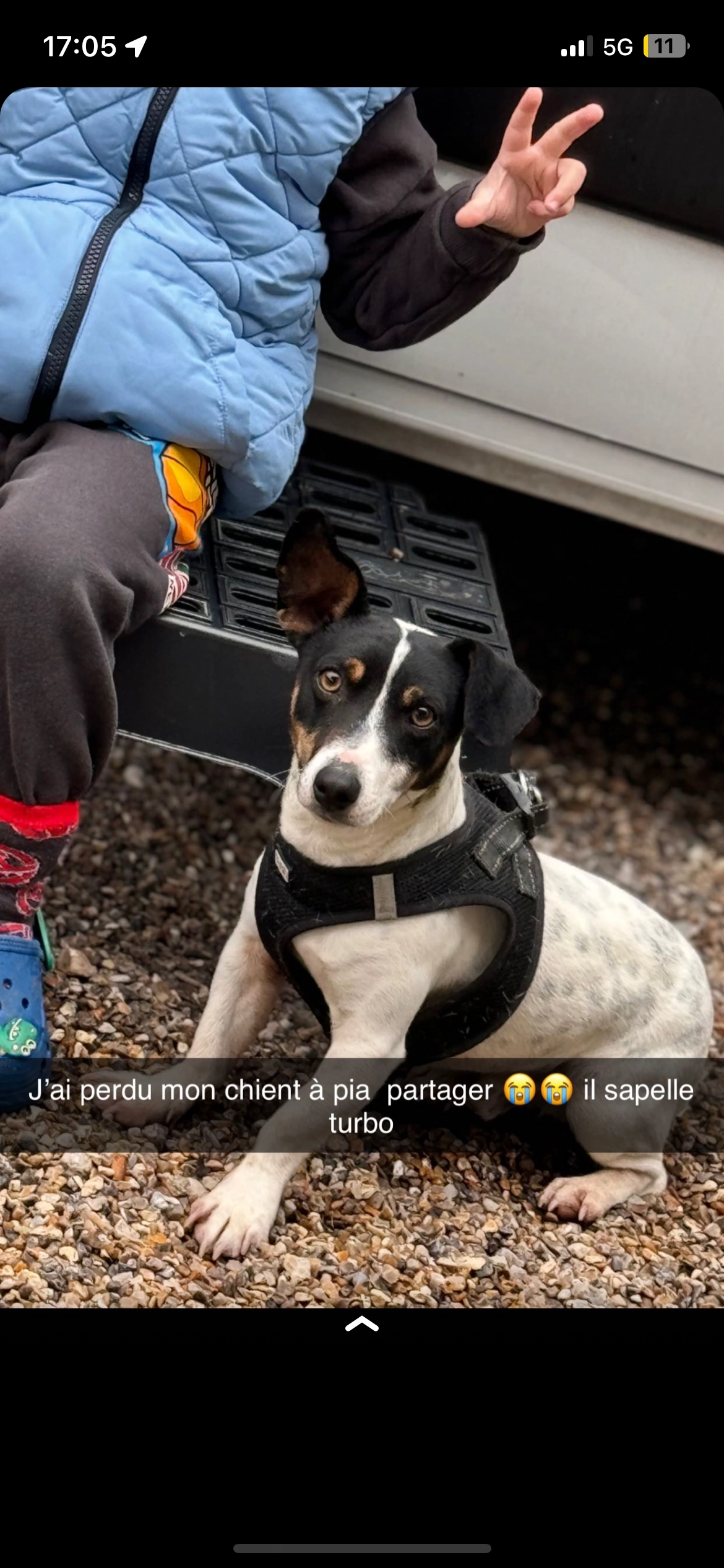 Turbo - 75 Chemin de l'Étang Long, Perpignan