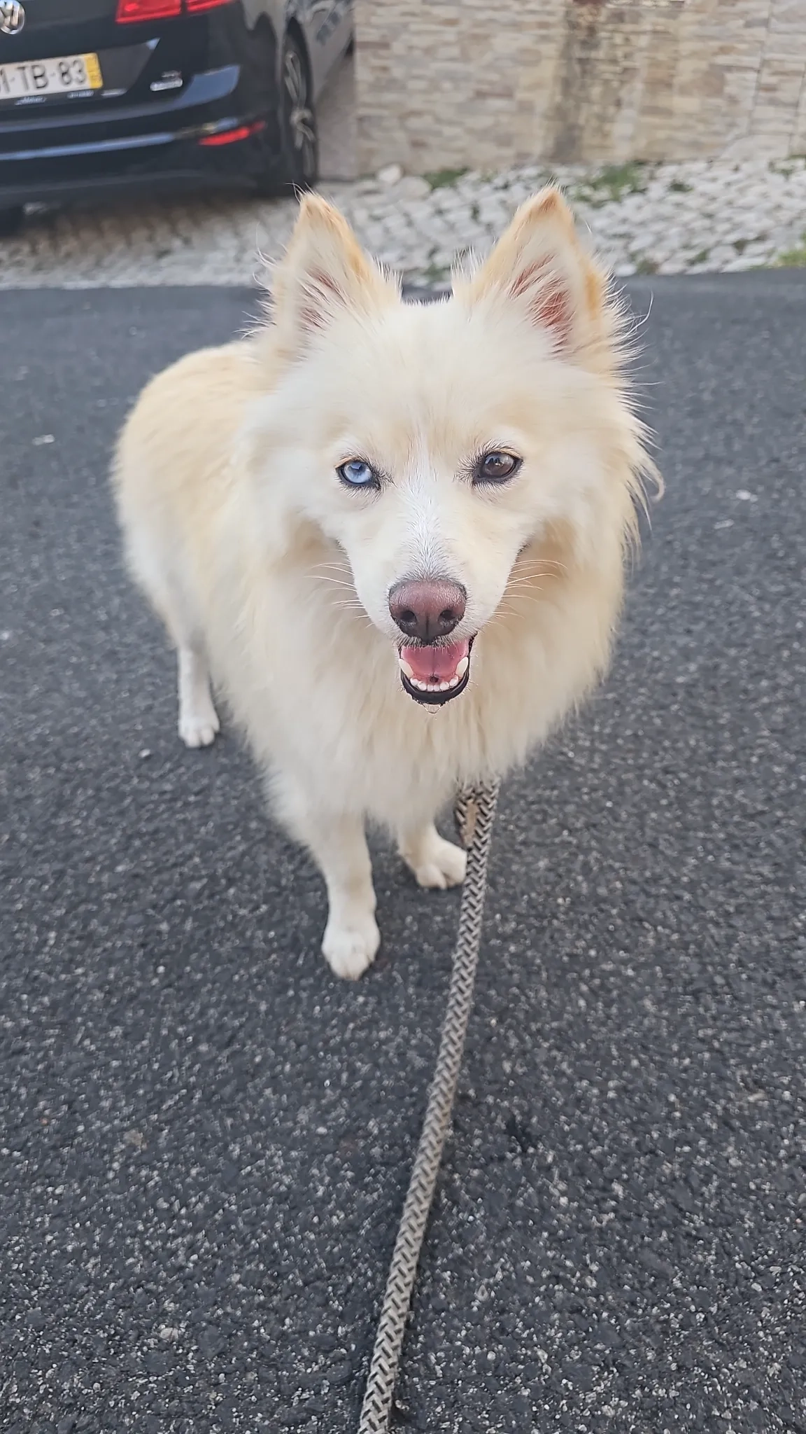 Kanuk - Rua Póvoa do Varzim, Casal de Cambra