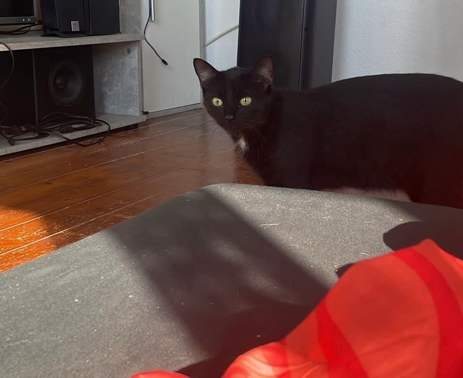 Jason  - Anton-Bruckner-Straße, Stockach