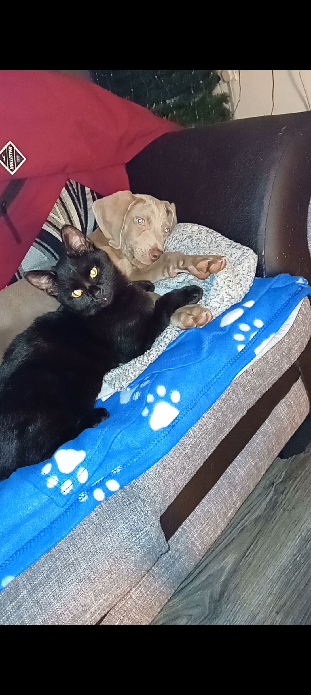 Boo - Main Street, Portlaw