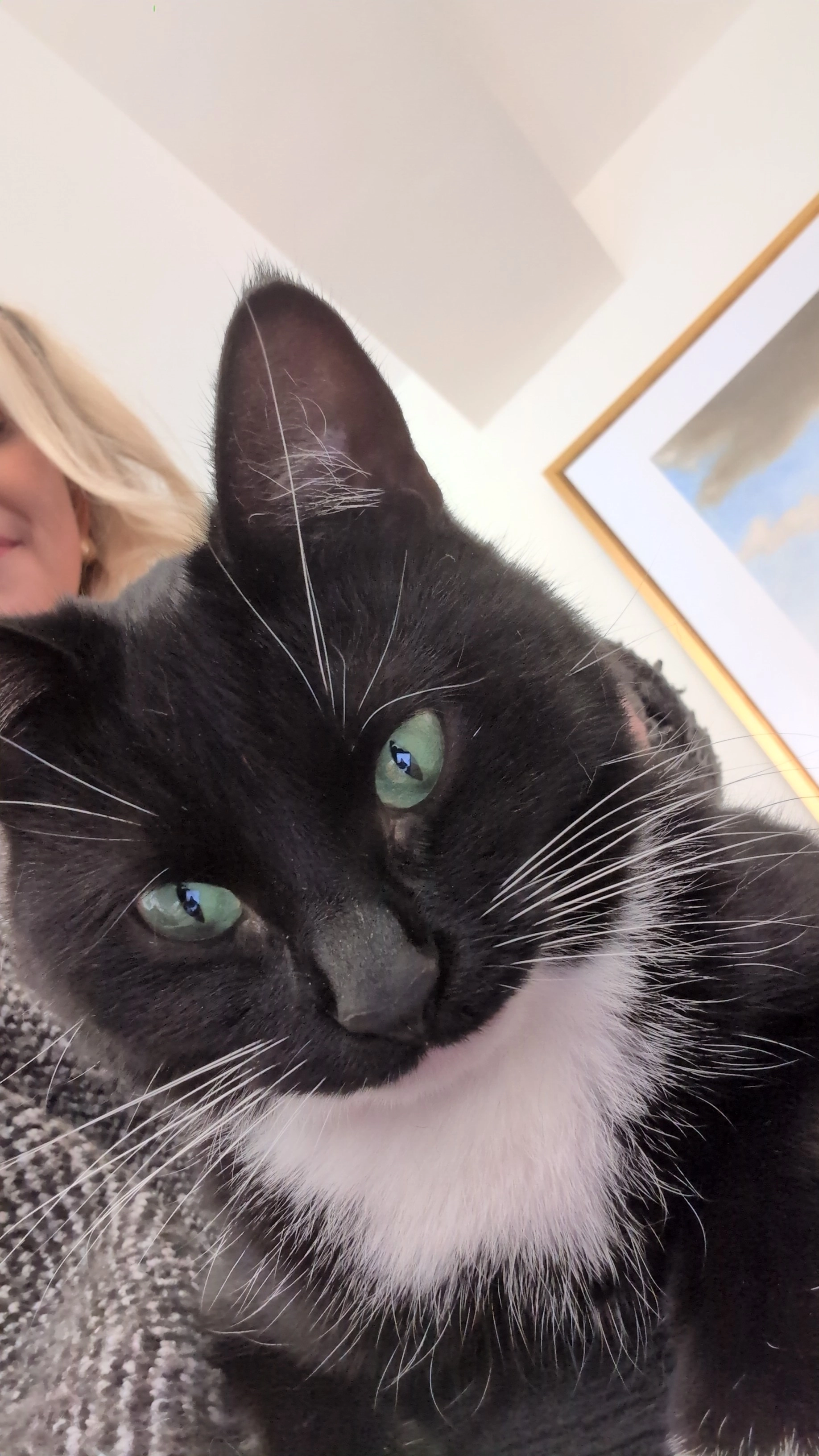 Pattie  - CH3 7, Chester