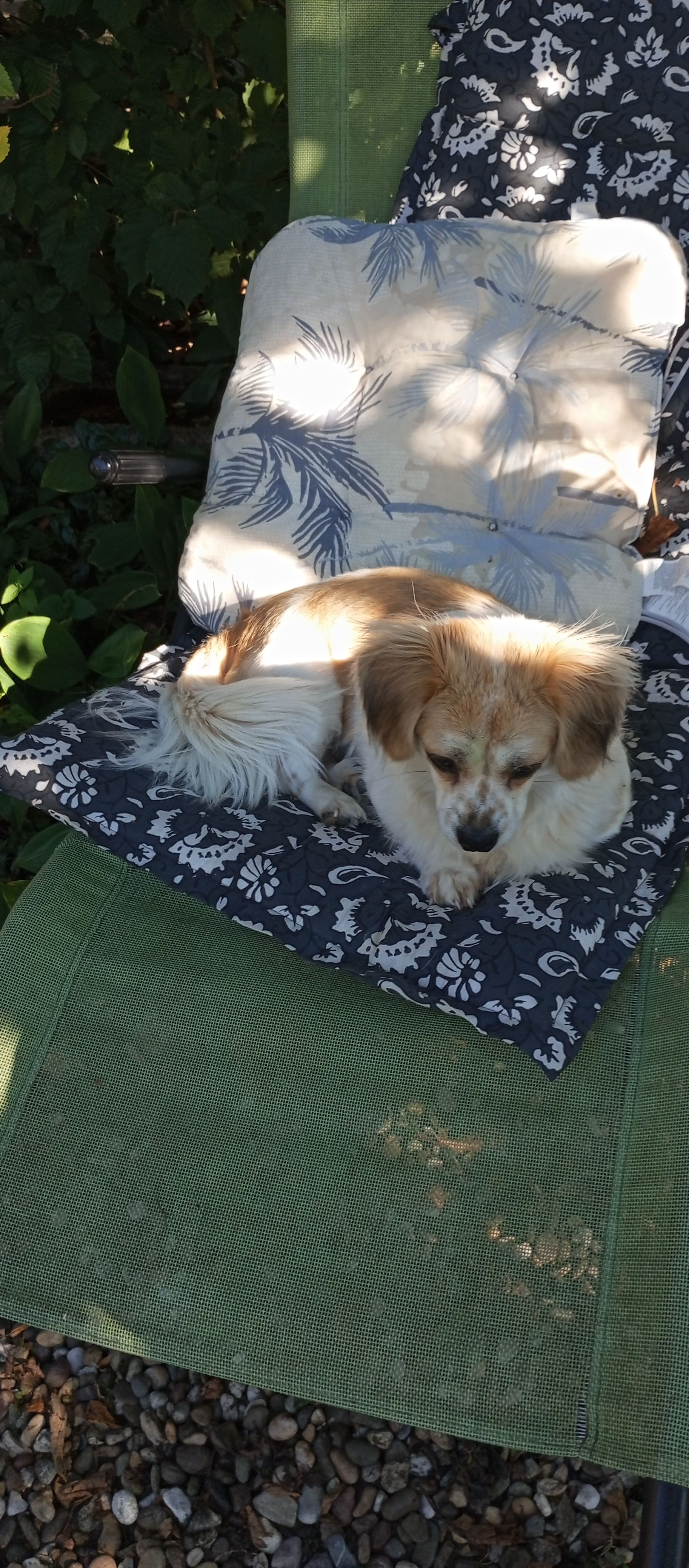 32/ - Munsterweg, Wietzendorf