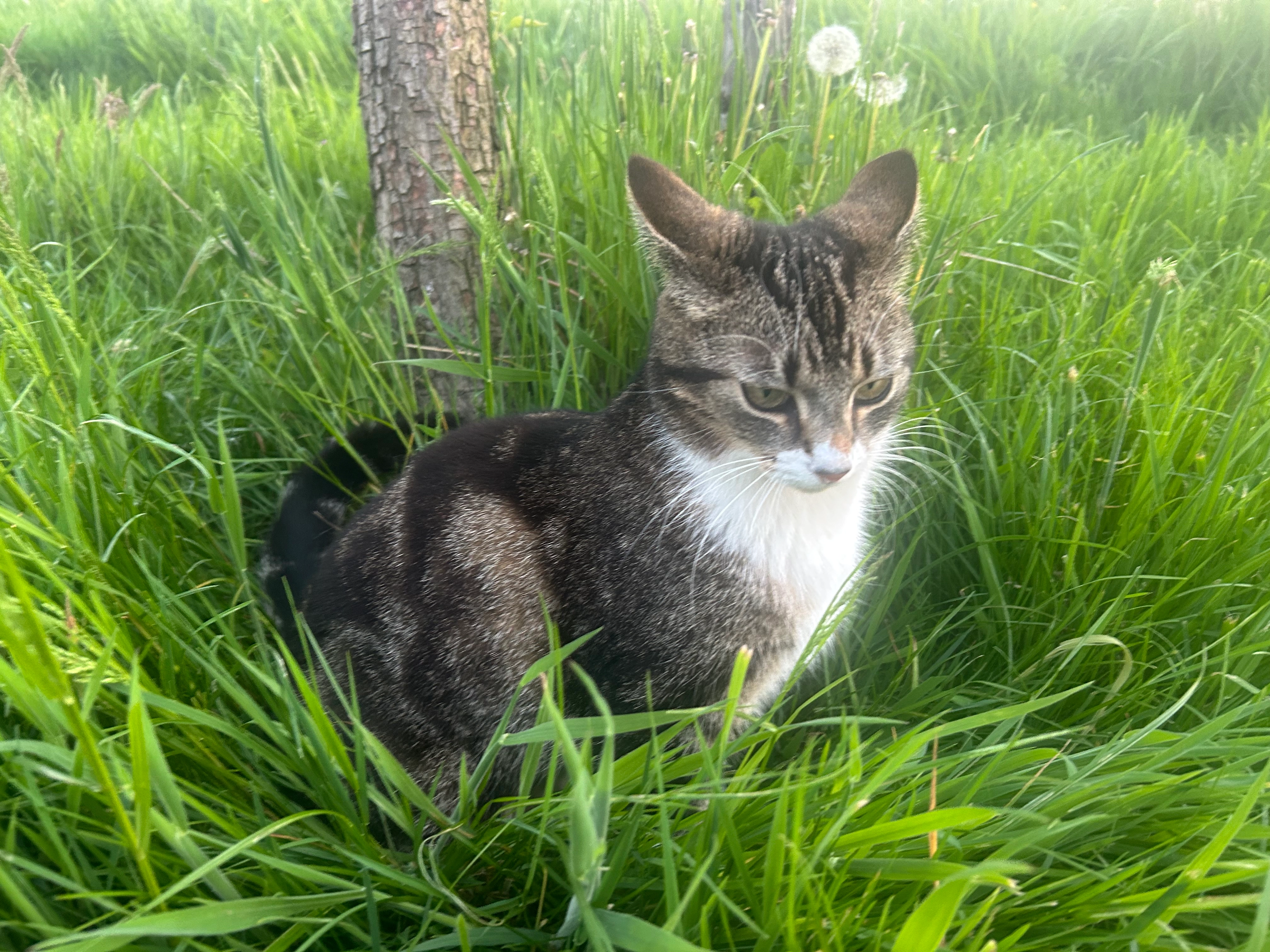 yuna  - Kerkweg, Berkenwoude