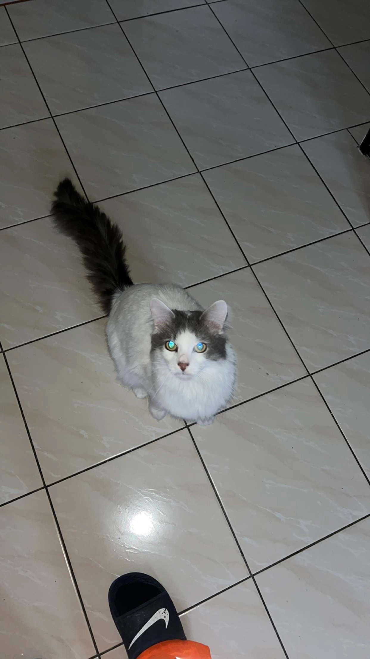 Félix - Rue Du Lac, Clérey