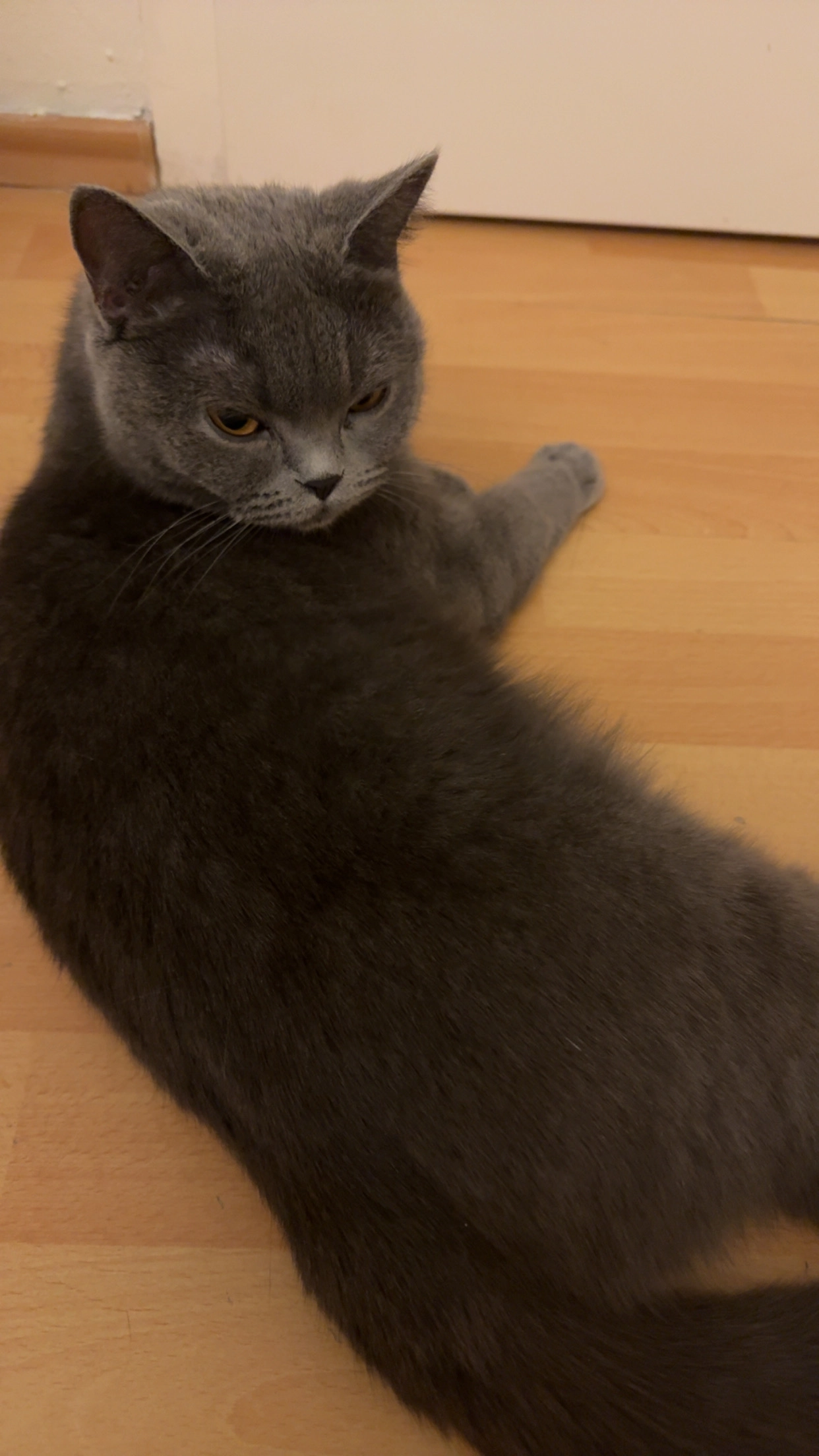 Nala - Adenauerstraße, Obertshausen