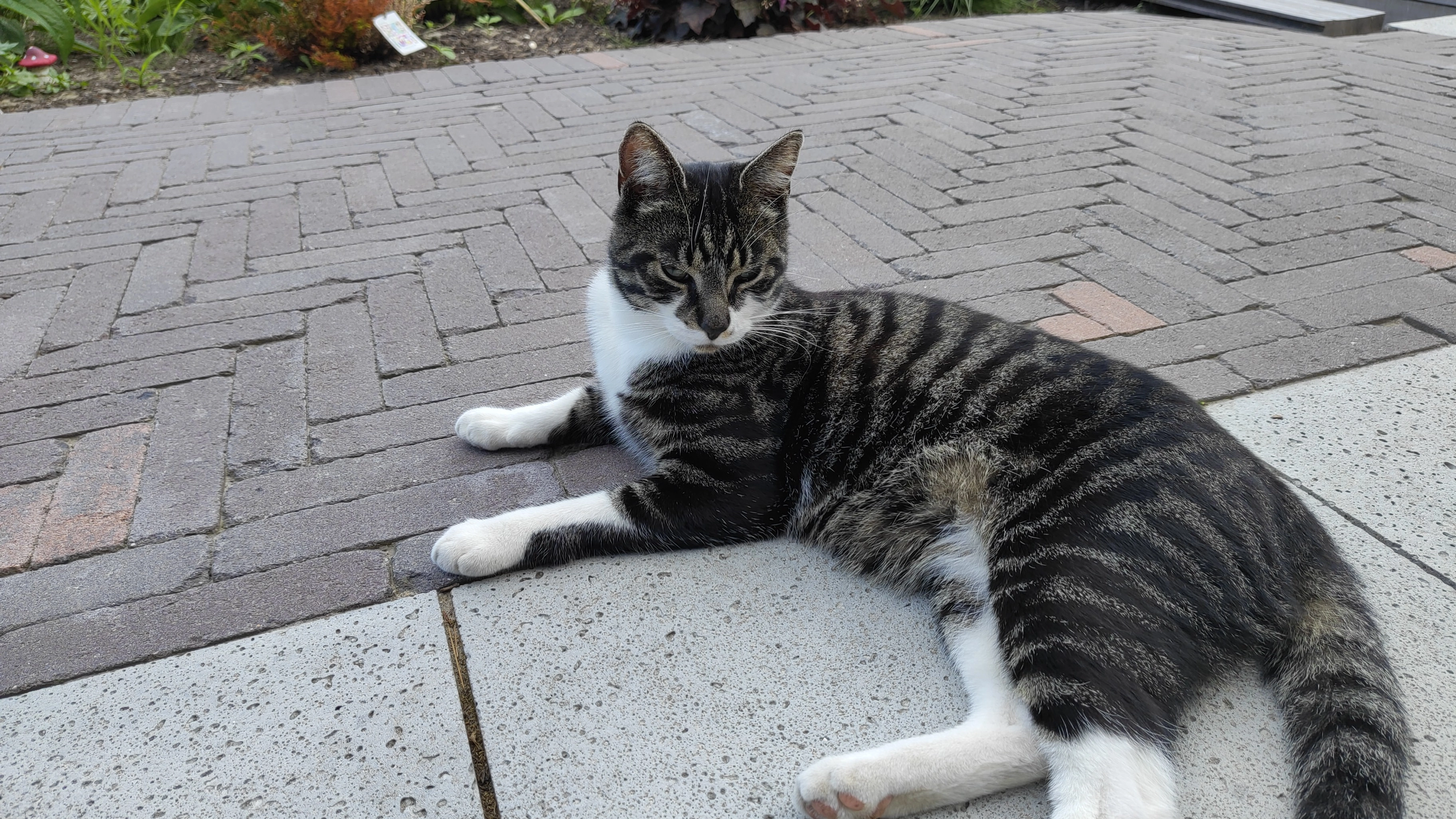 Spoekie  - Jan van de Boekhorstborg, Spanbroek