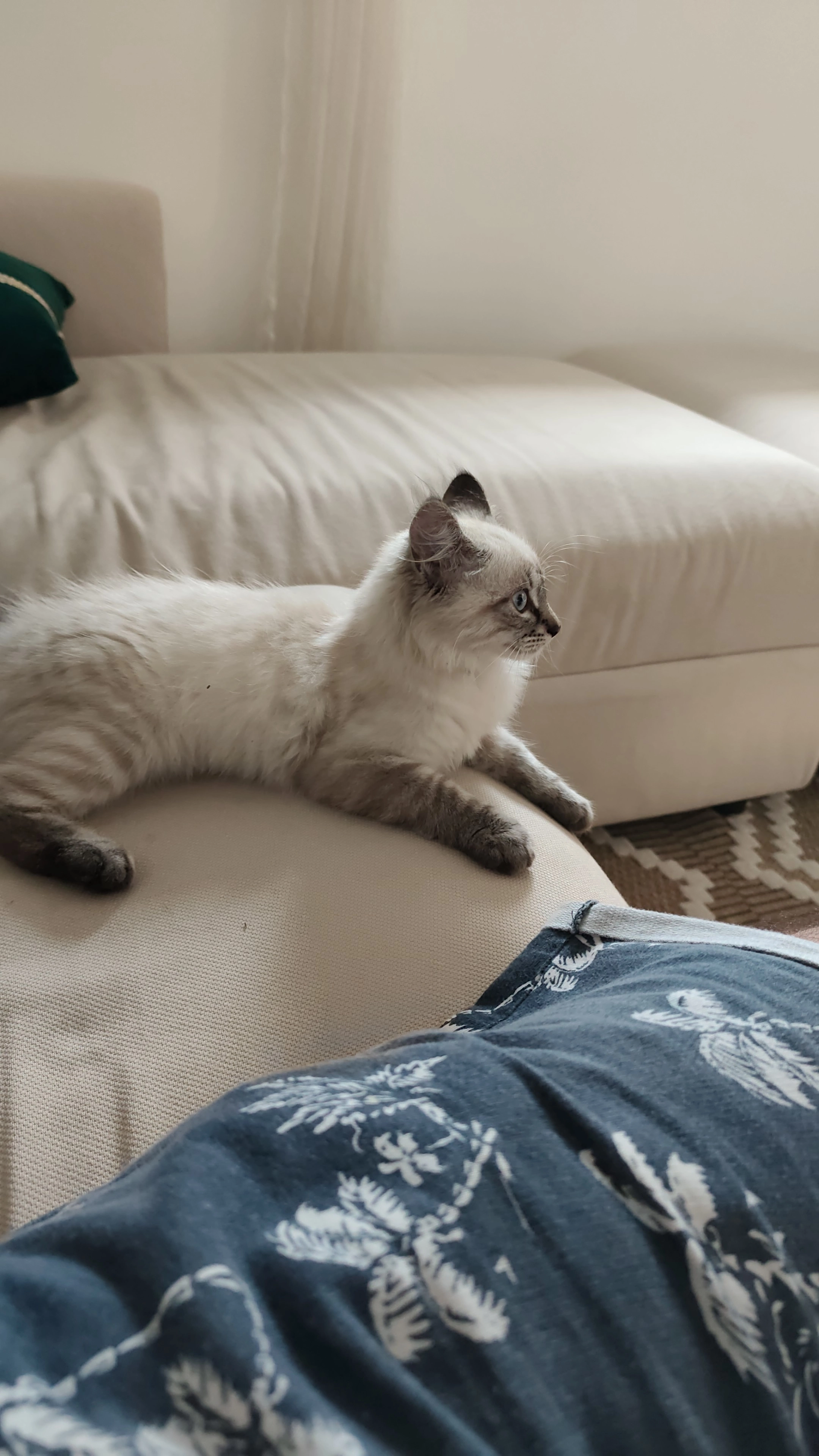 Sky - Chemin de Latapie, Colayrac-Saint-Cirq