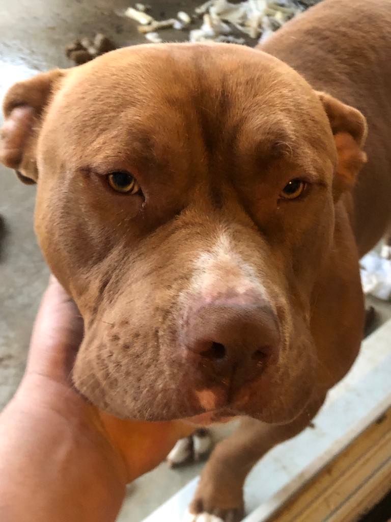 Newton et cheyenne - Rue Du Clos De Noailles, Noailles