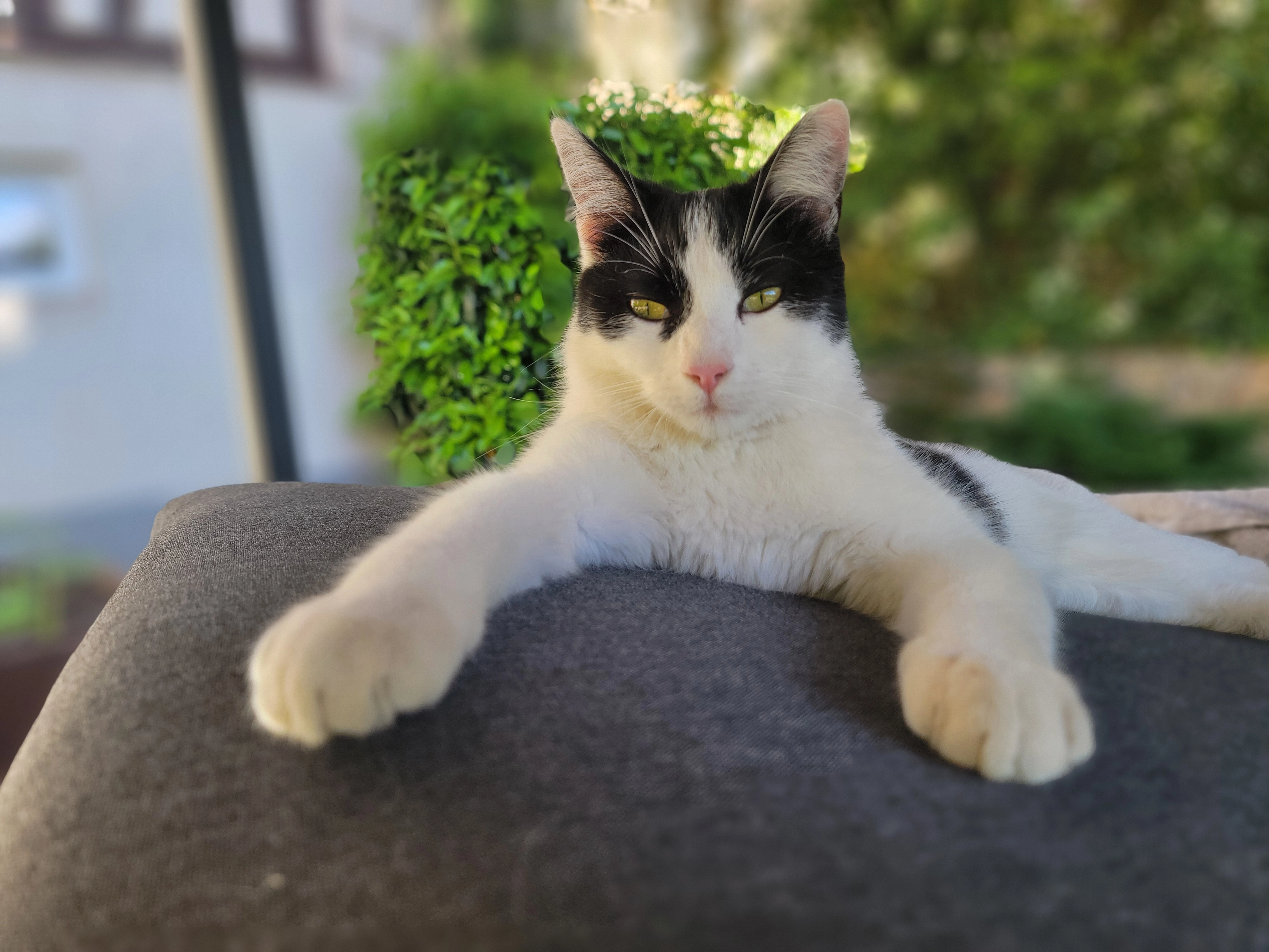 Lennon  - 39 Rue Raymond Poincaré, Rouffach