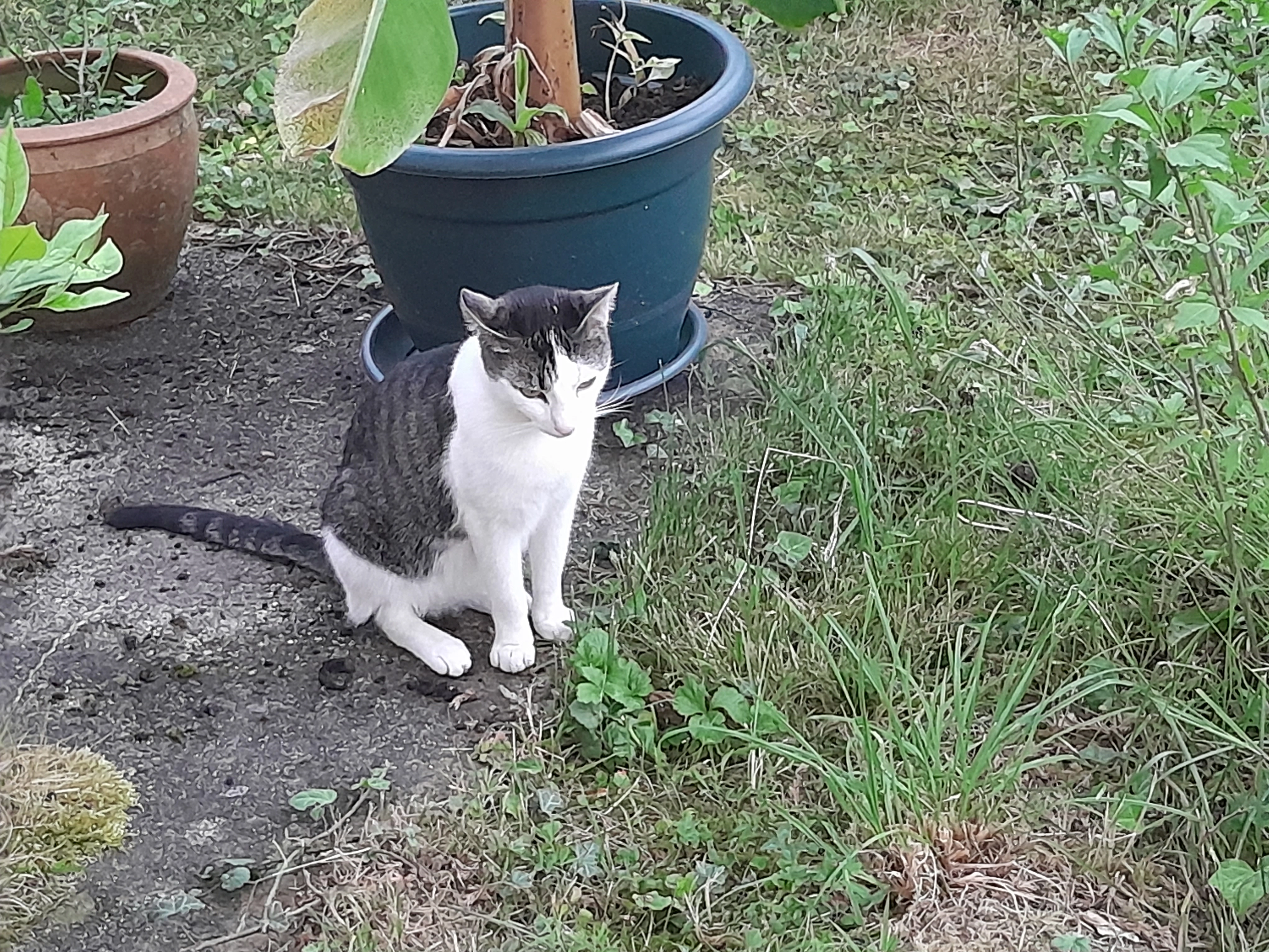 Süßie - Höhenstraße, Schwäbisch Gmünd