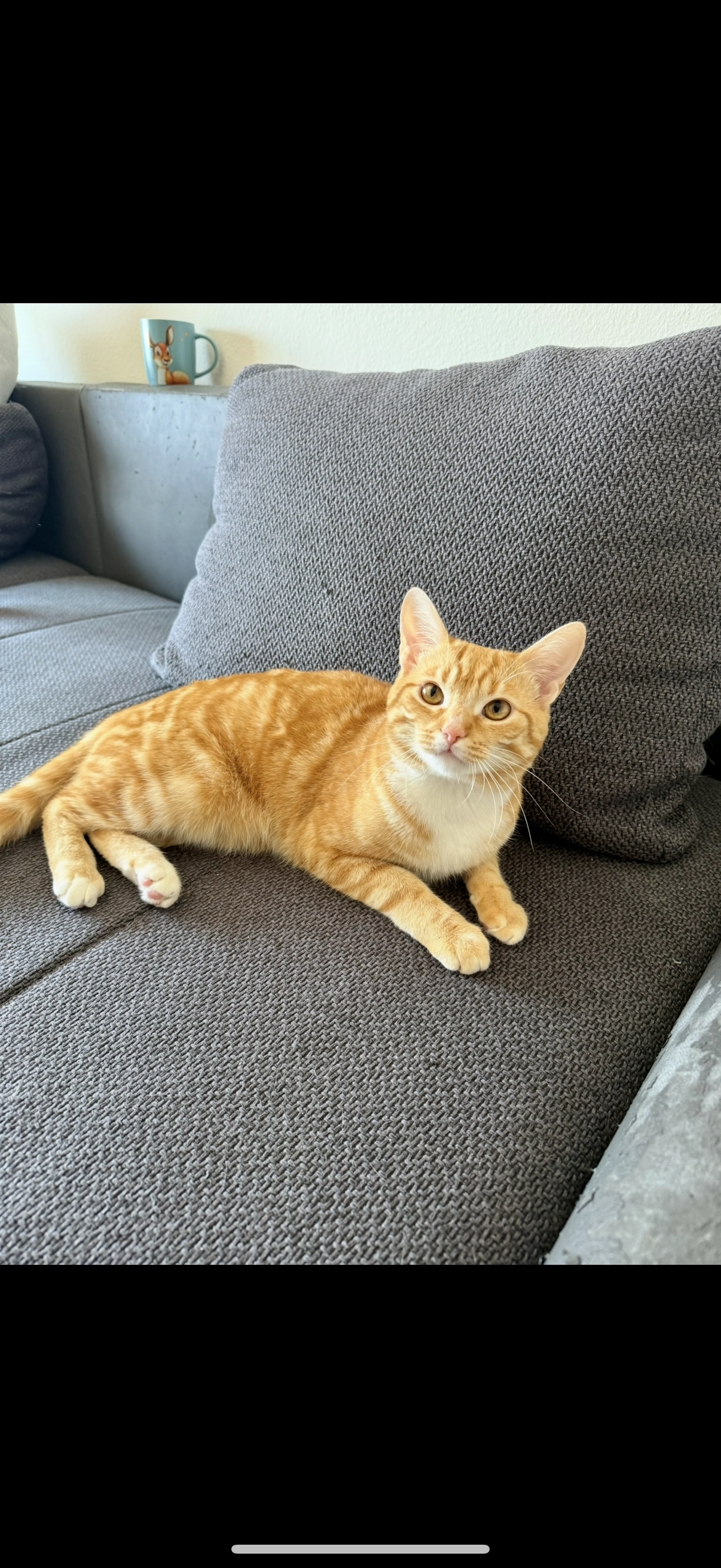 Hero - Avenue Alexandre-Vinet, Lausanne