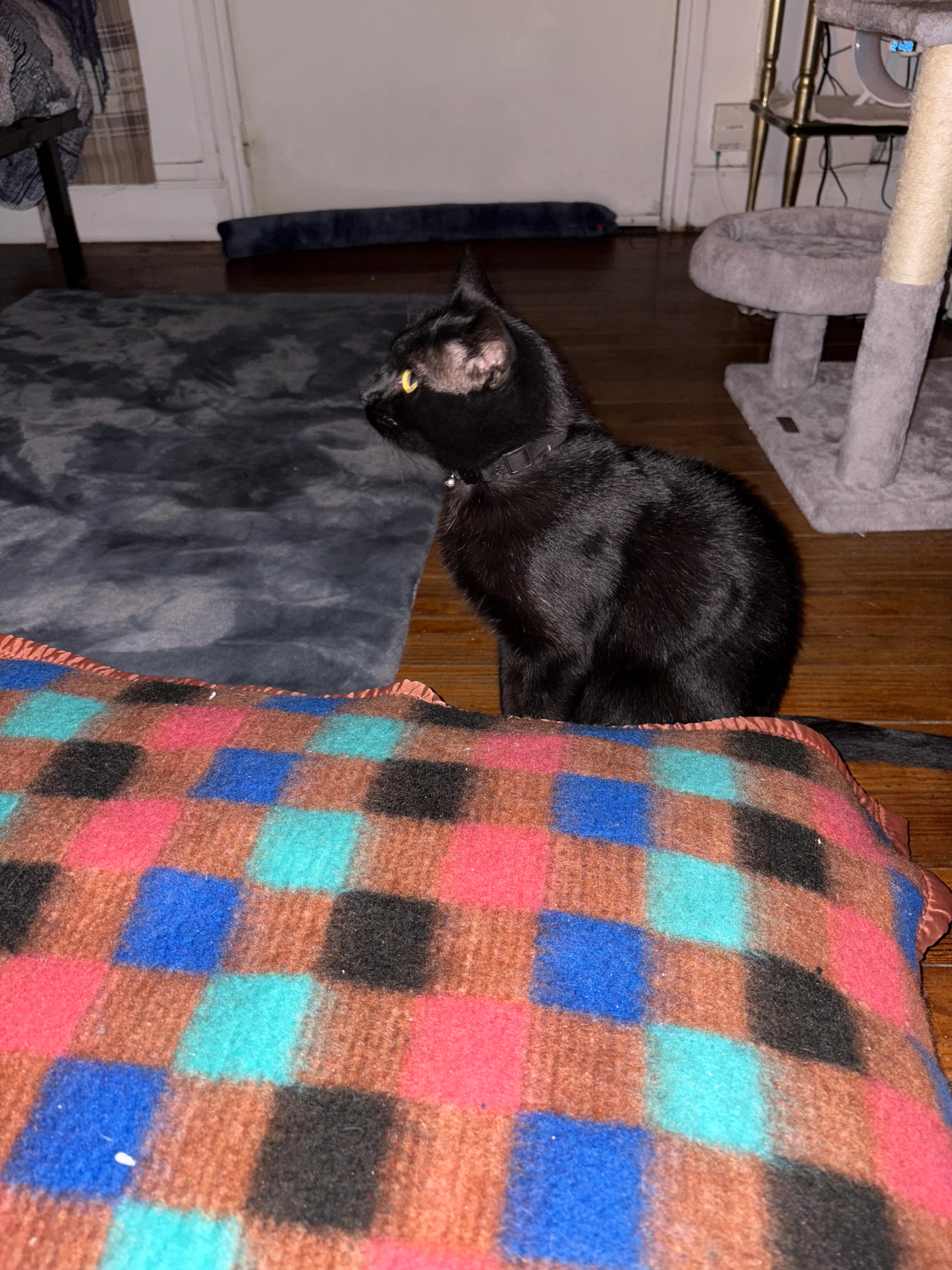 Salem - Rue du Compagnonnage, Tarbes