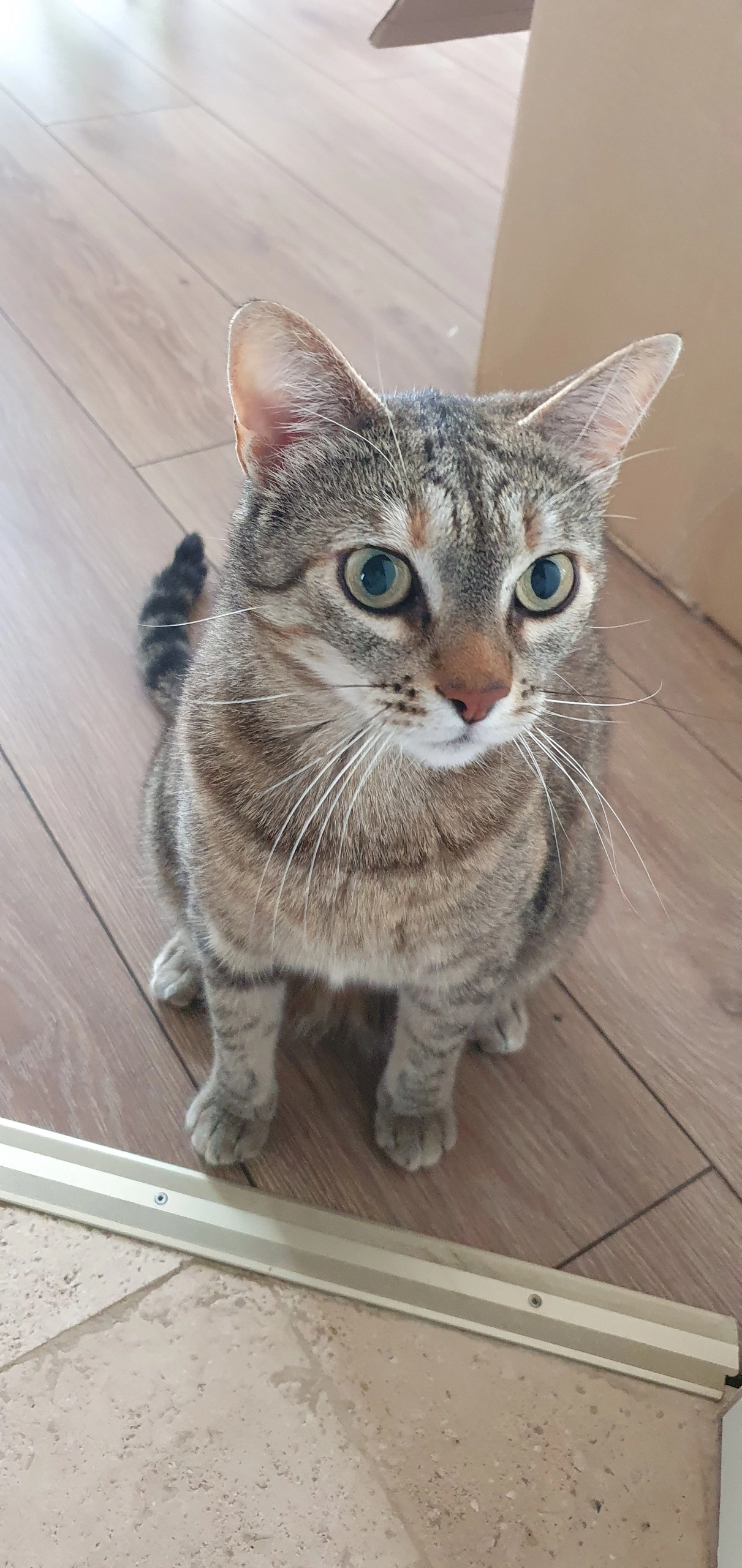 Lone - Ludwig-Bechstein-Weg, Bargteheide