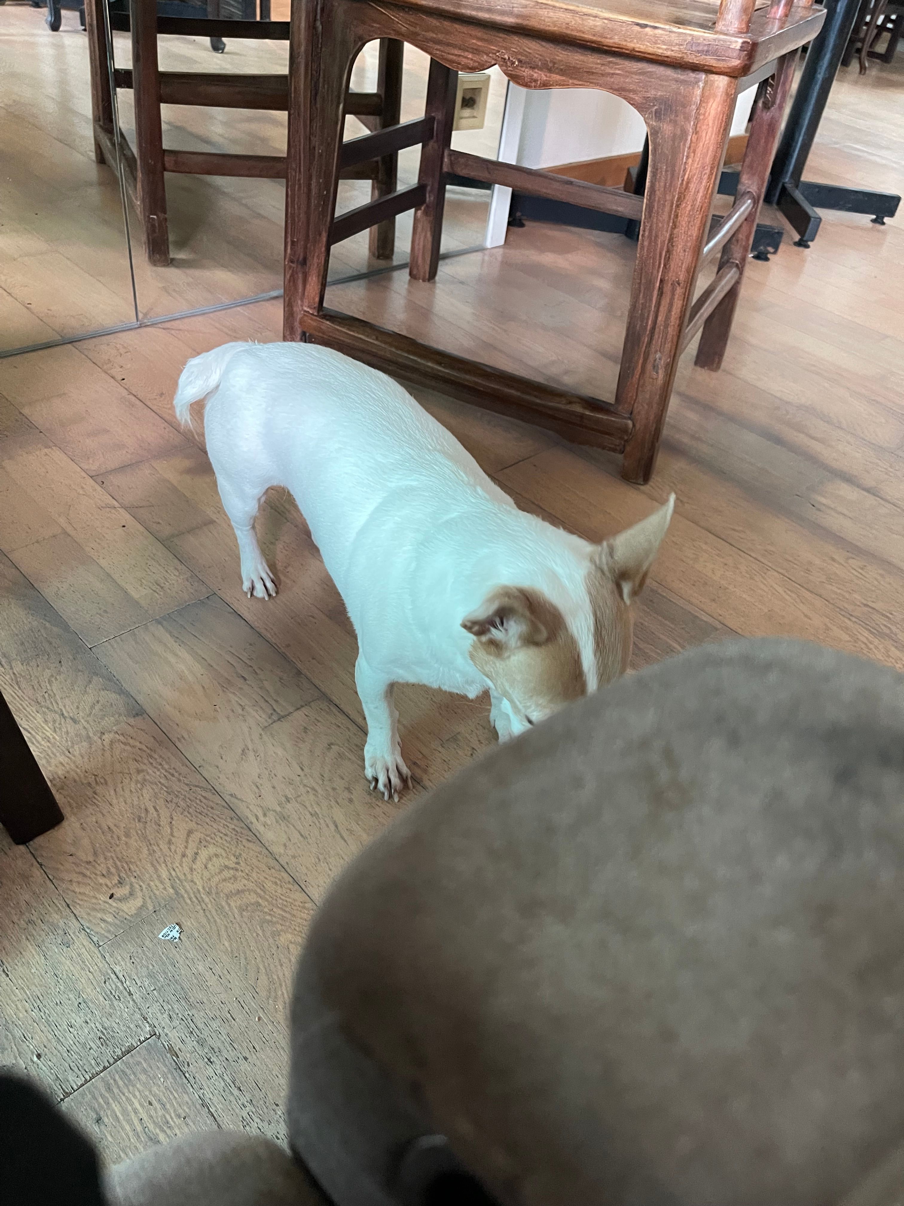 peipei - Jordan Road, Jordan