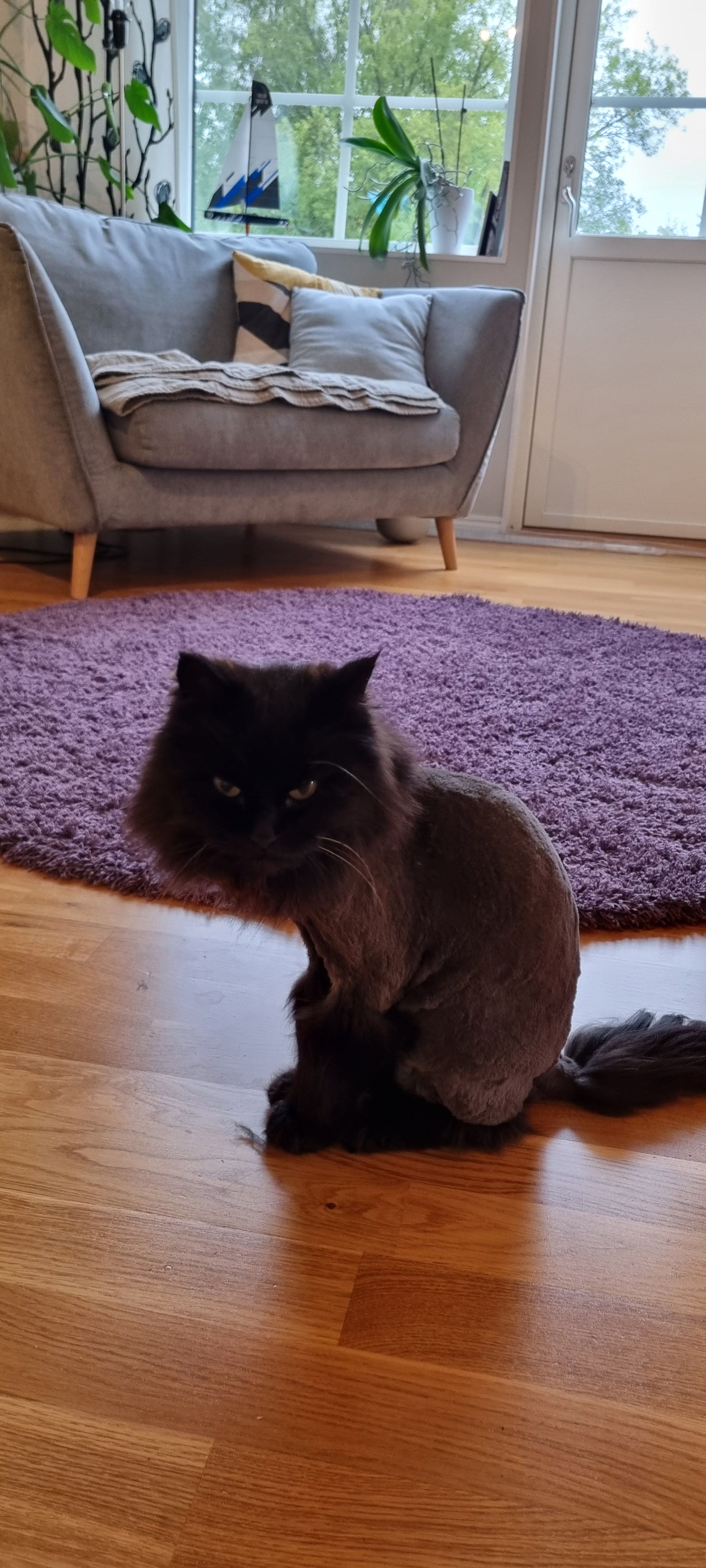 Sessan  - Grönfinkvägen, Eskilstuna