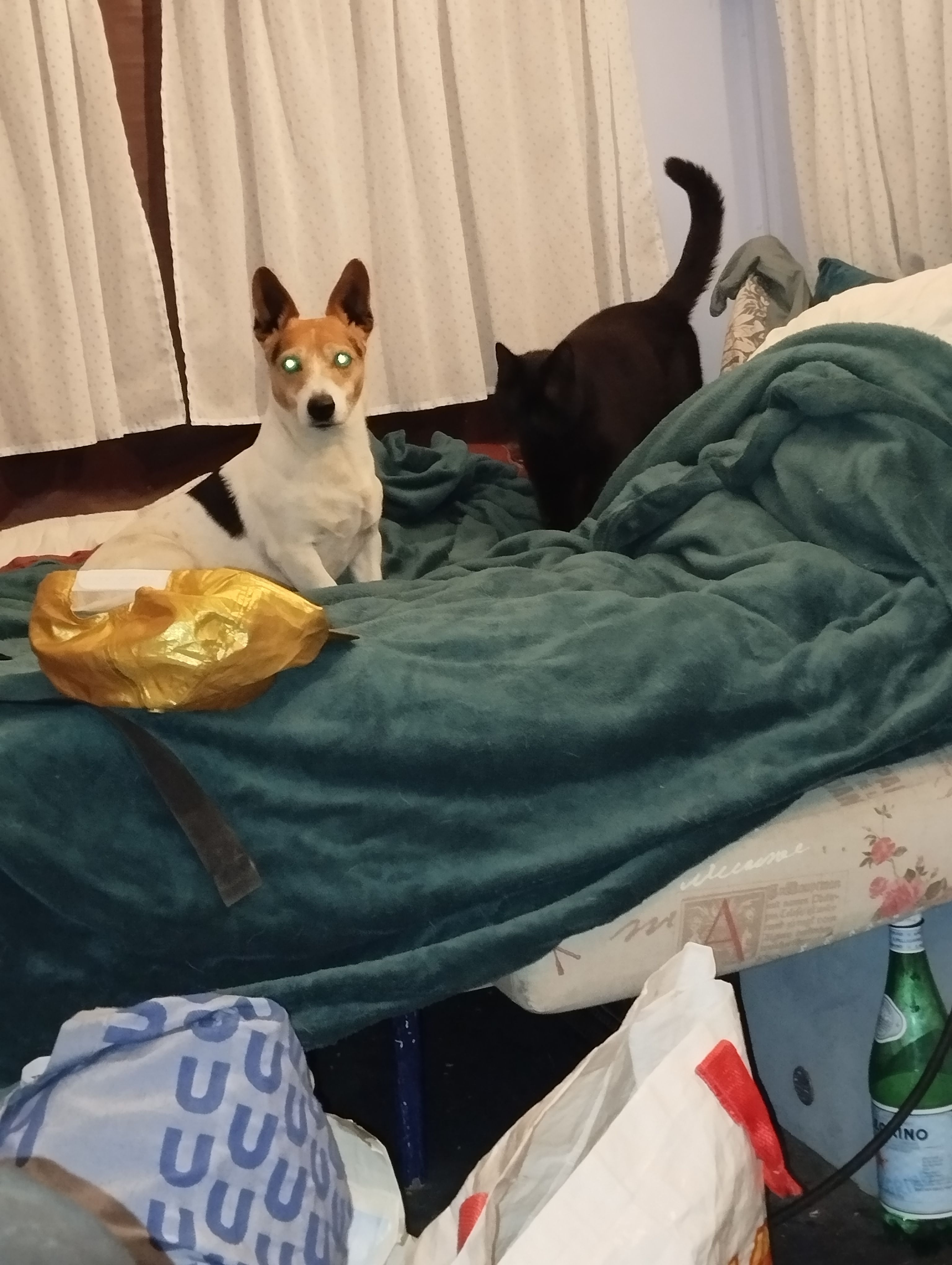 Sonik  - Place Chabaneau, Montpellier