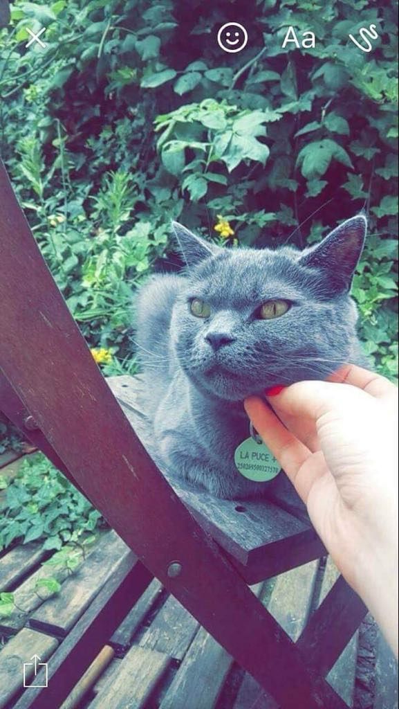 Sumo - 1 Rue Saint-Lazare, Cambrai