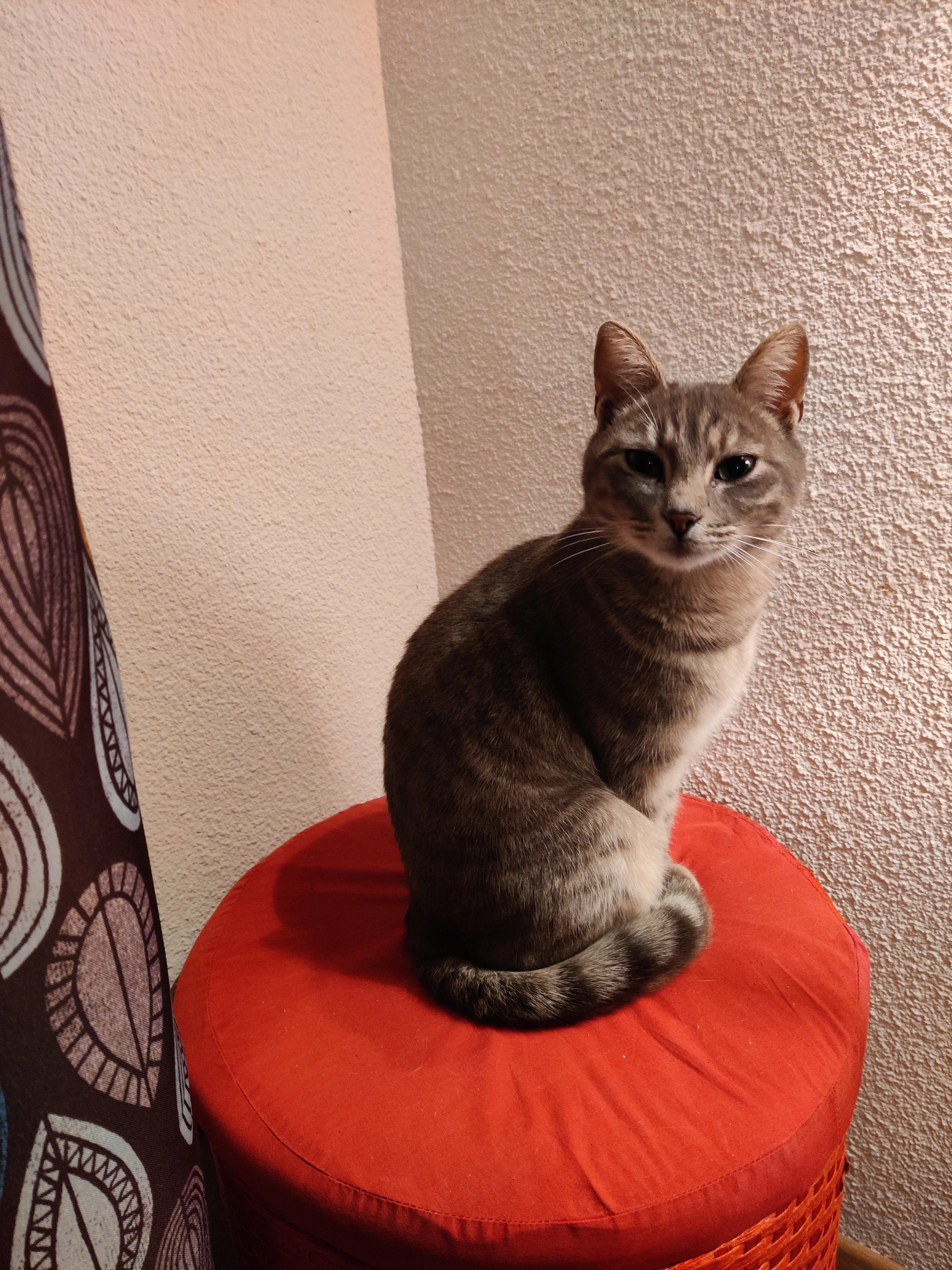 TARATE - Les Jardins De La Palmeraie, Langon