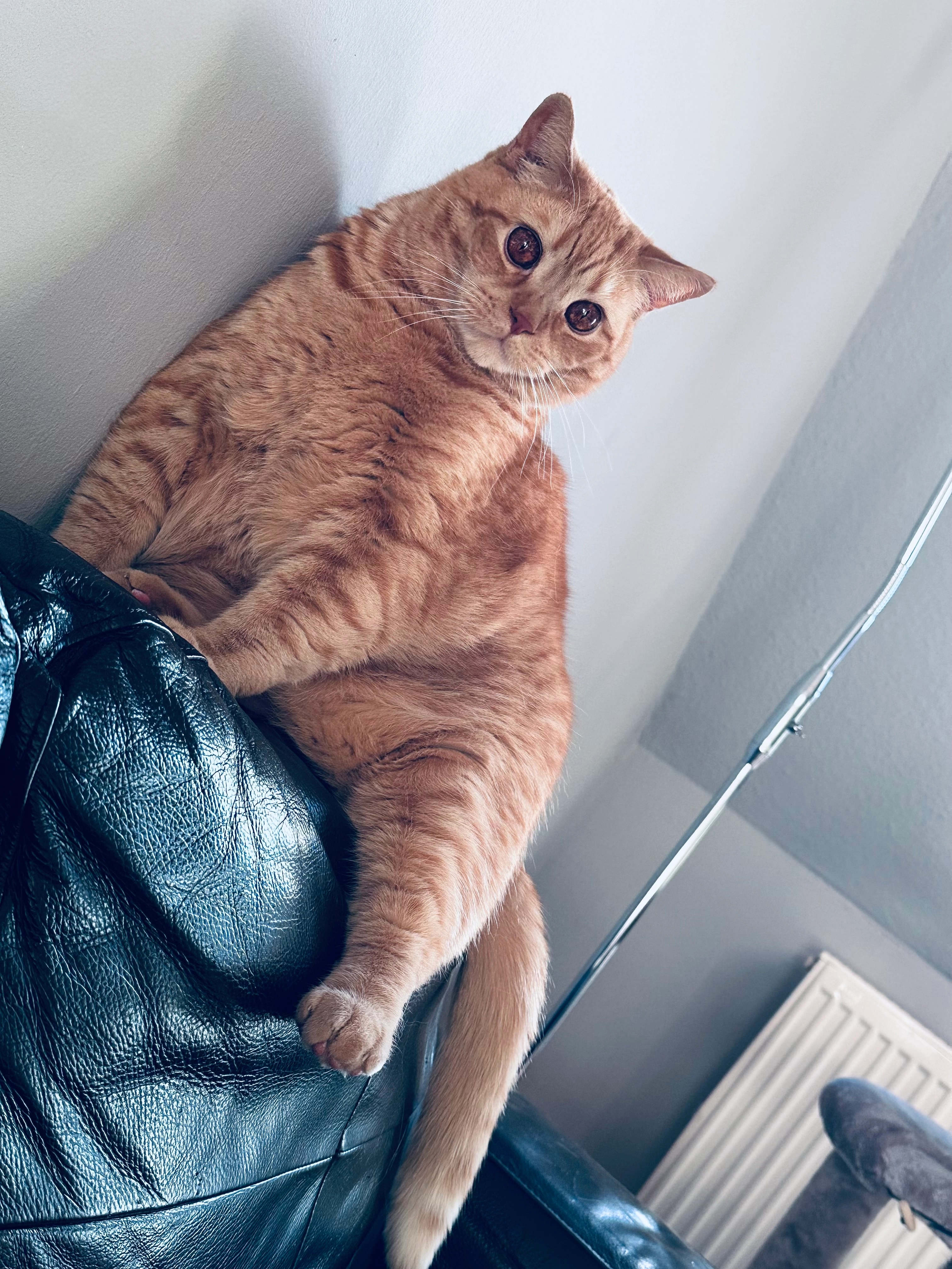 Felix - Brunnenstraße, Cadolzburg