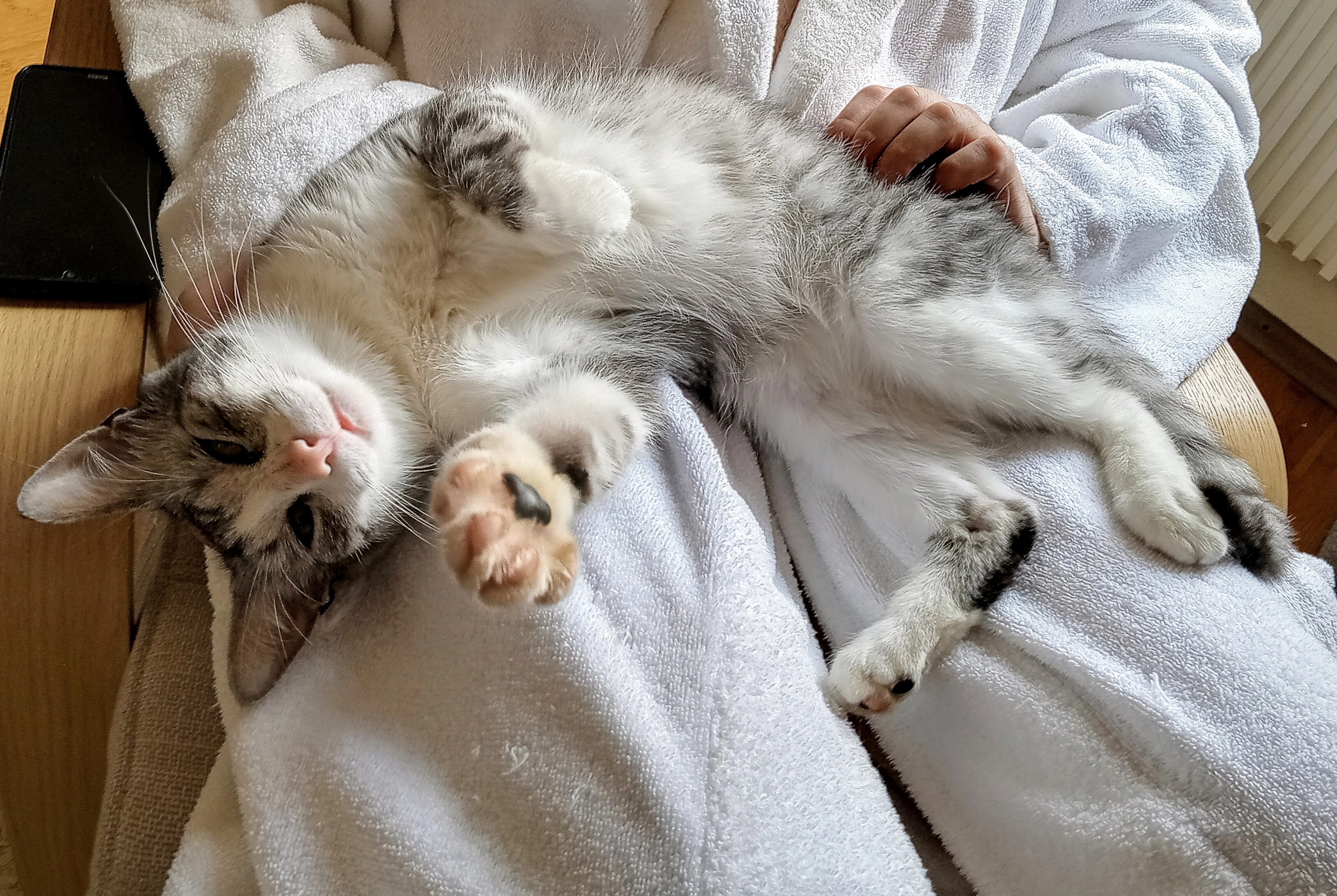 Benji  - Martinusstraße, Herzogenrath