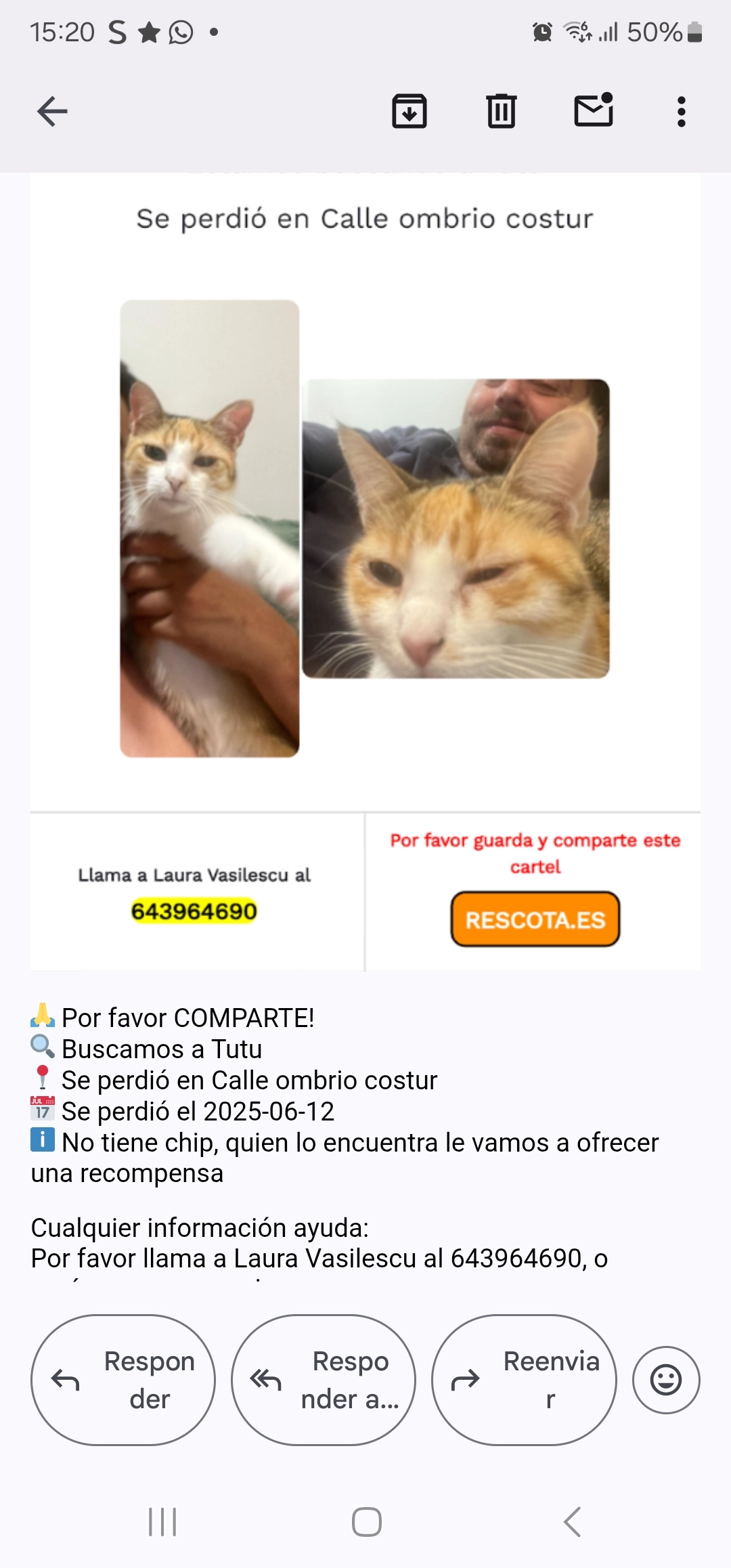 Titi - Calle L'Ombrió, Costur