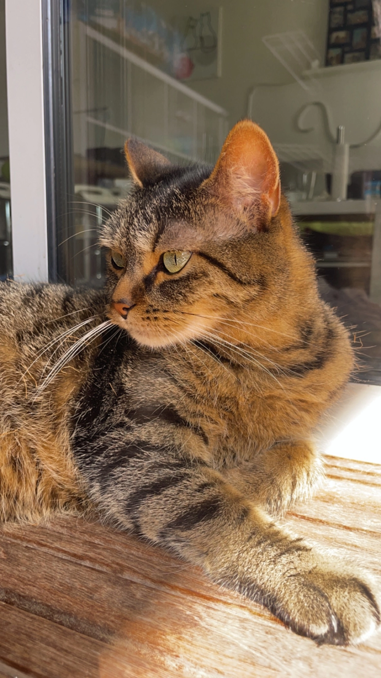 Maki - Rue De La Corde, Barbâtre