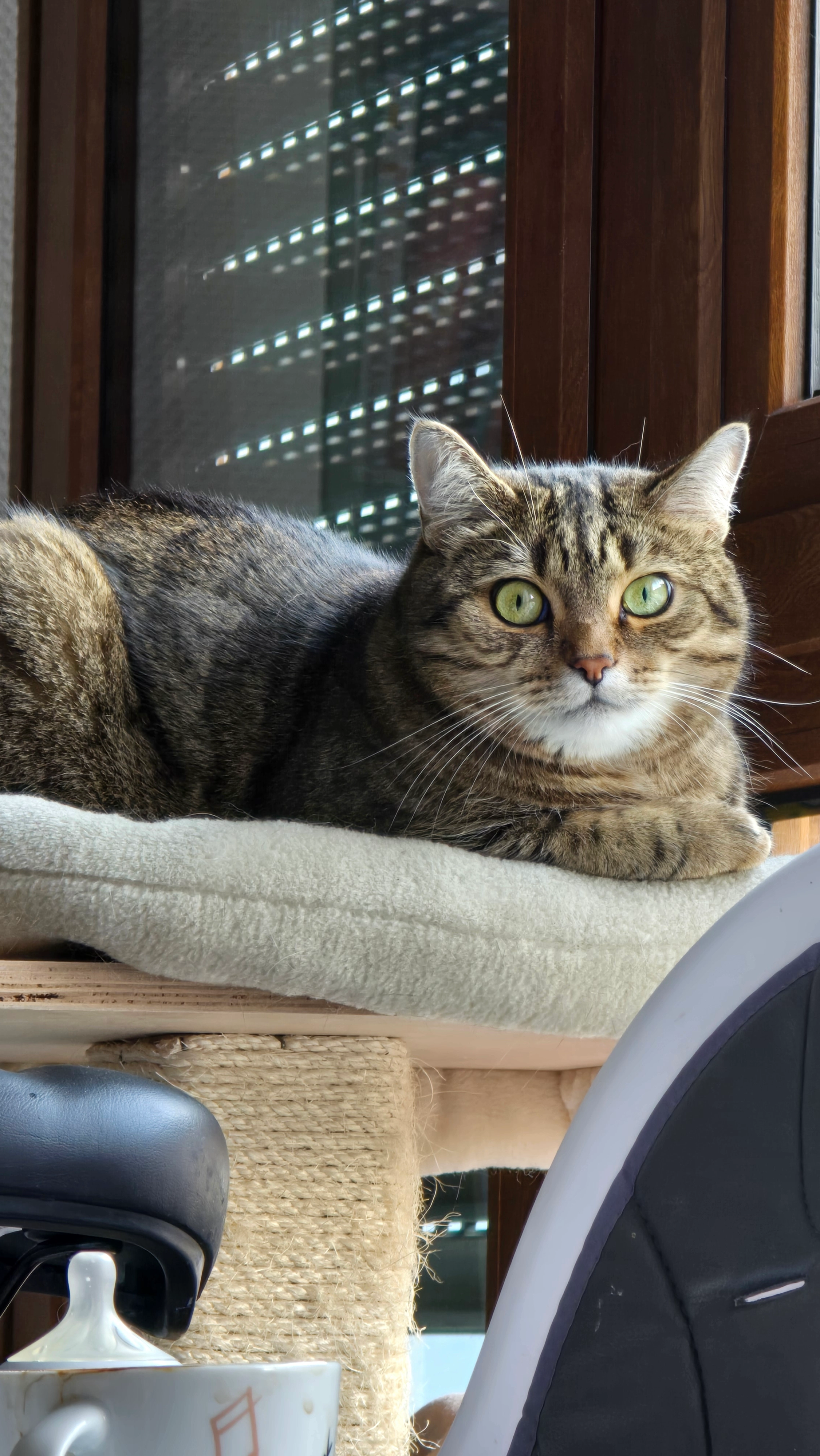 Levi - Weißenbrunner Hauptstraße 13, Weißenbrunn, 91227 Leinburg