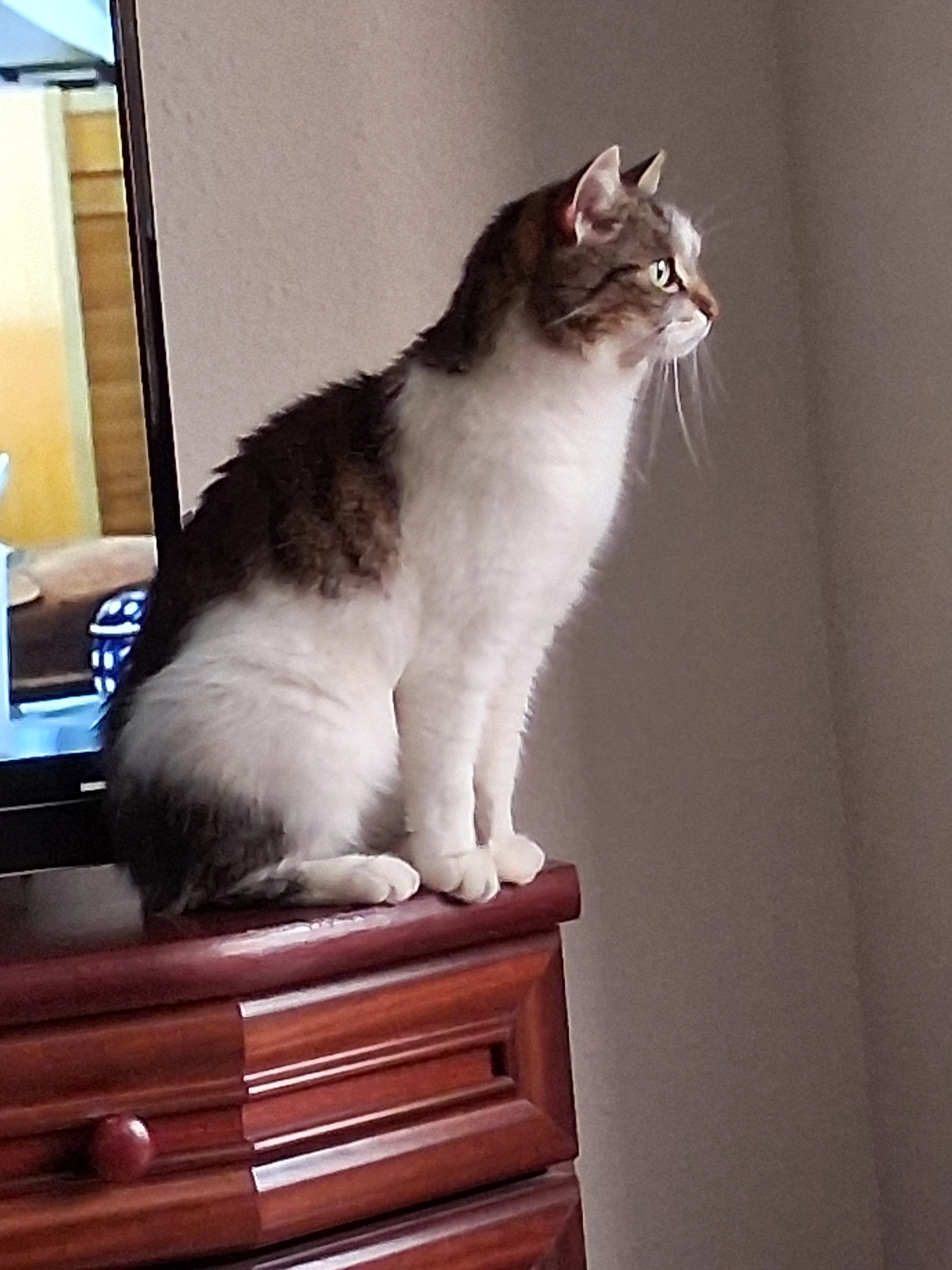 Emma - Otto-Buchwitz-Straße, Oderwitz