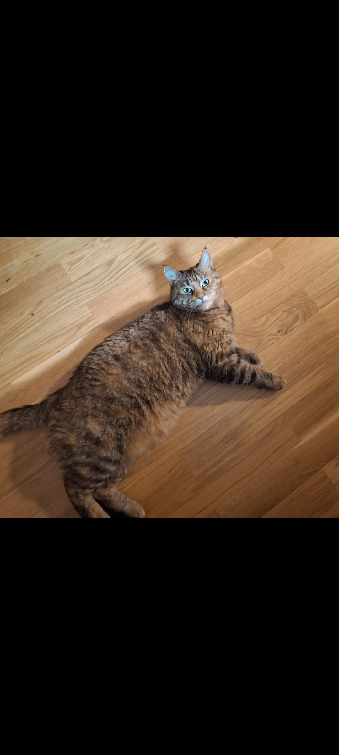 Nayeli - Stadtplatz, Miesbach