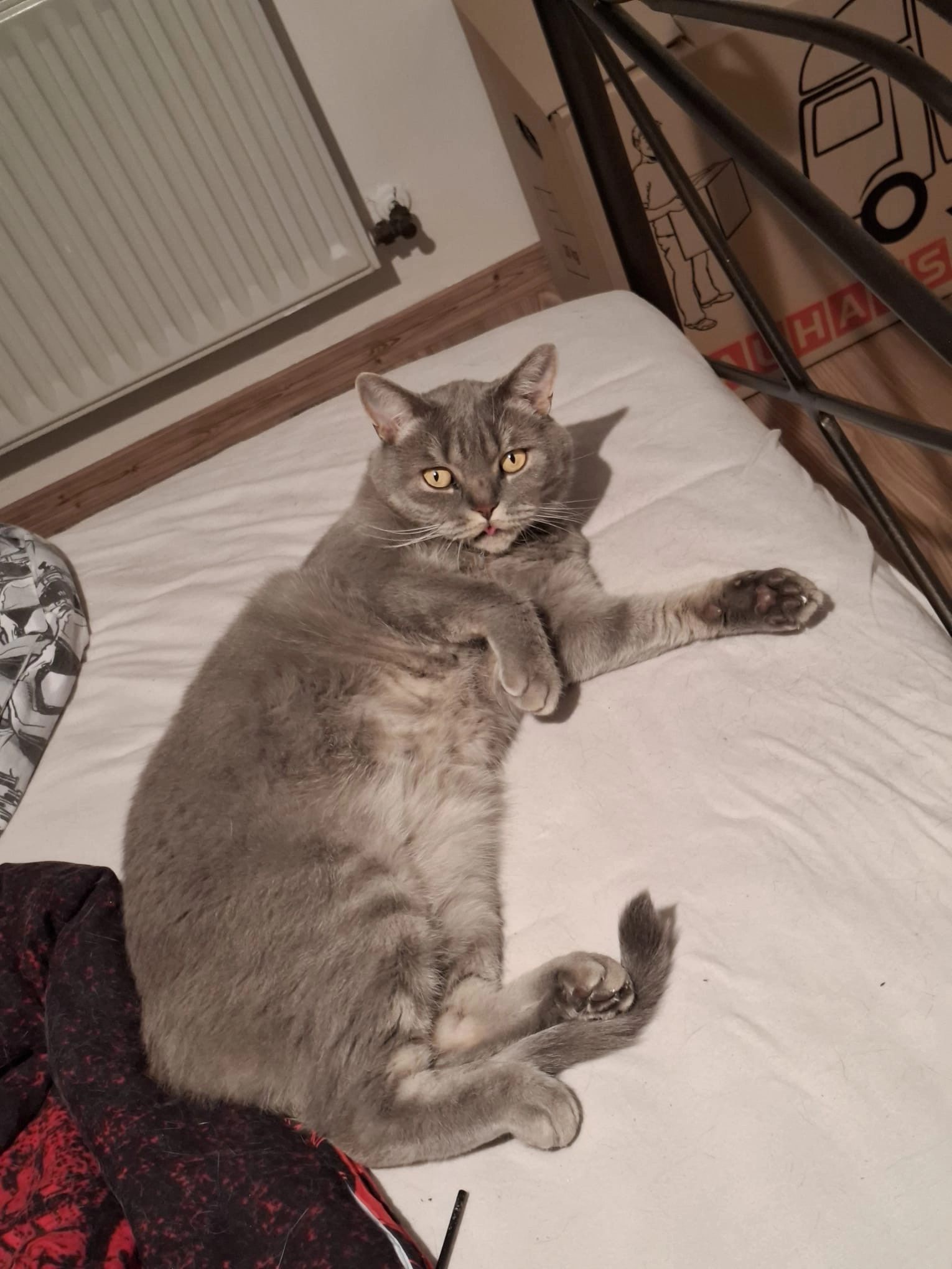 Hades - Gravenhorster Straße, Ibbenbüren