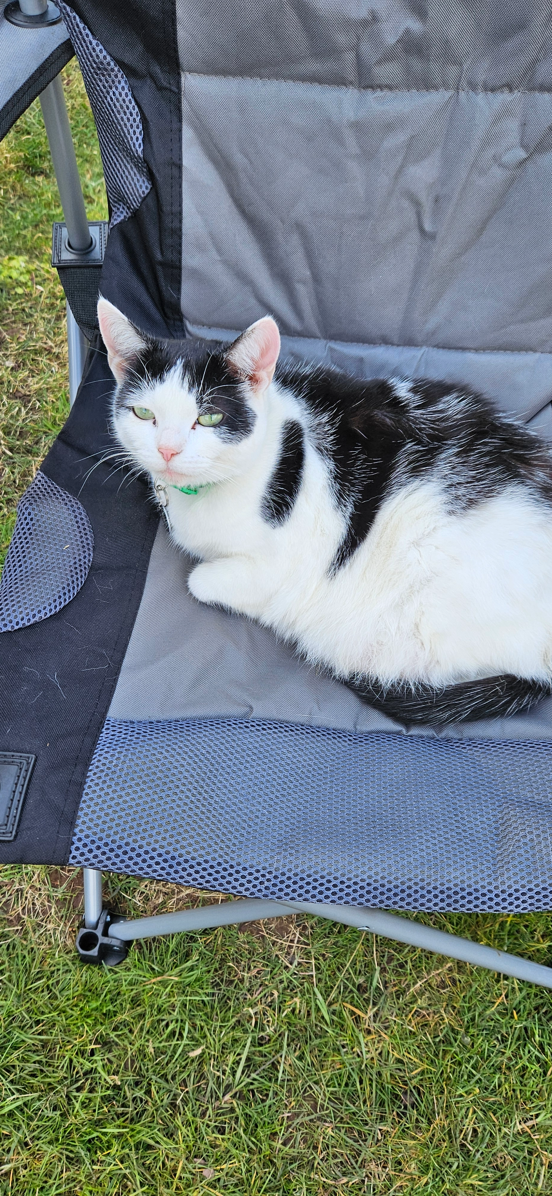 Moana - Heol Dyddgen, Crwbin