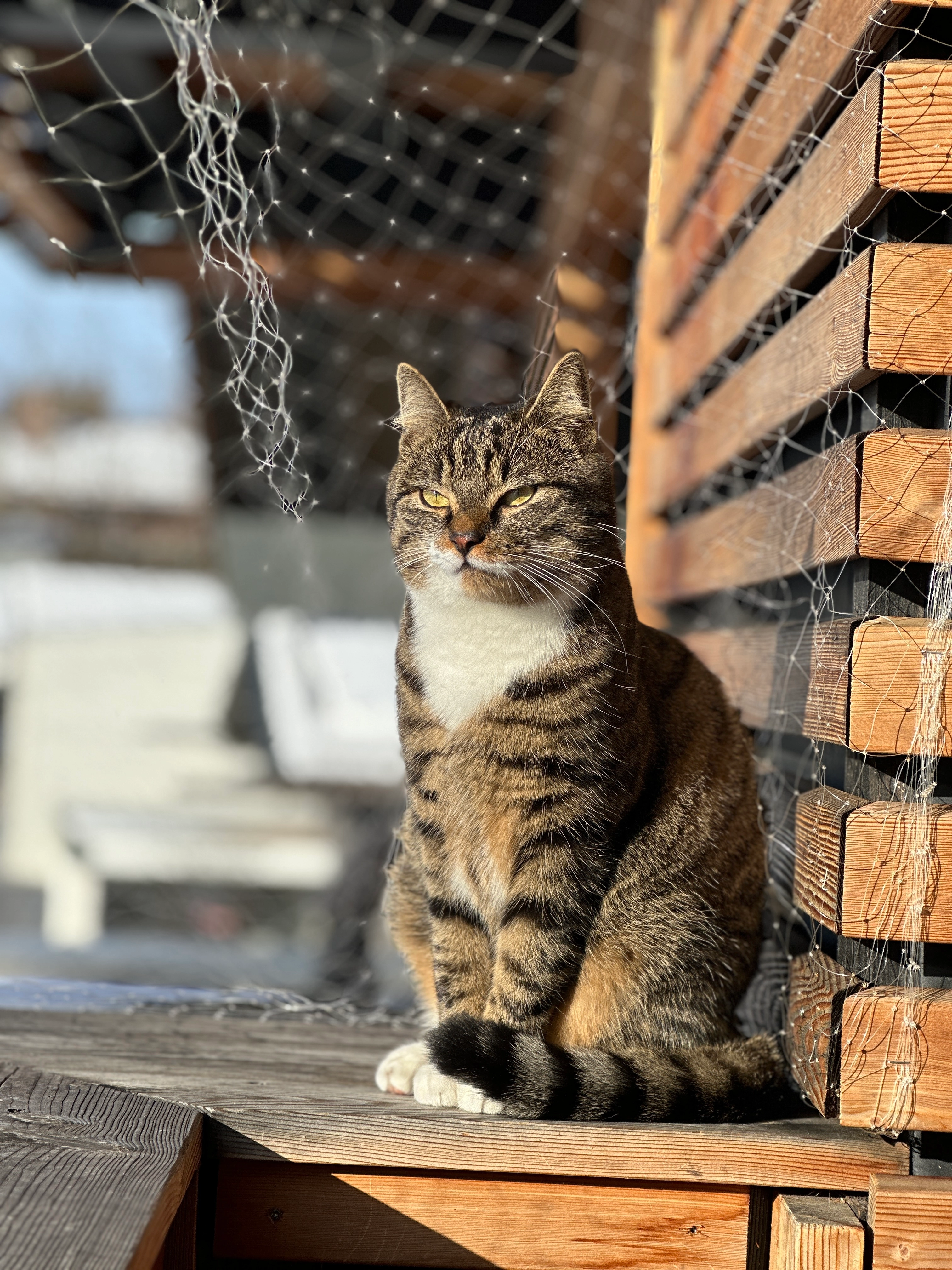 Prinz - Münchner Straße, Bad Wiessee