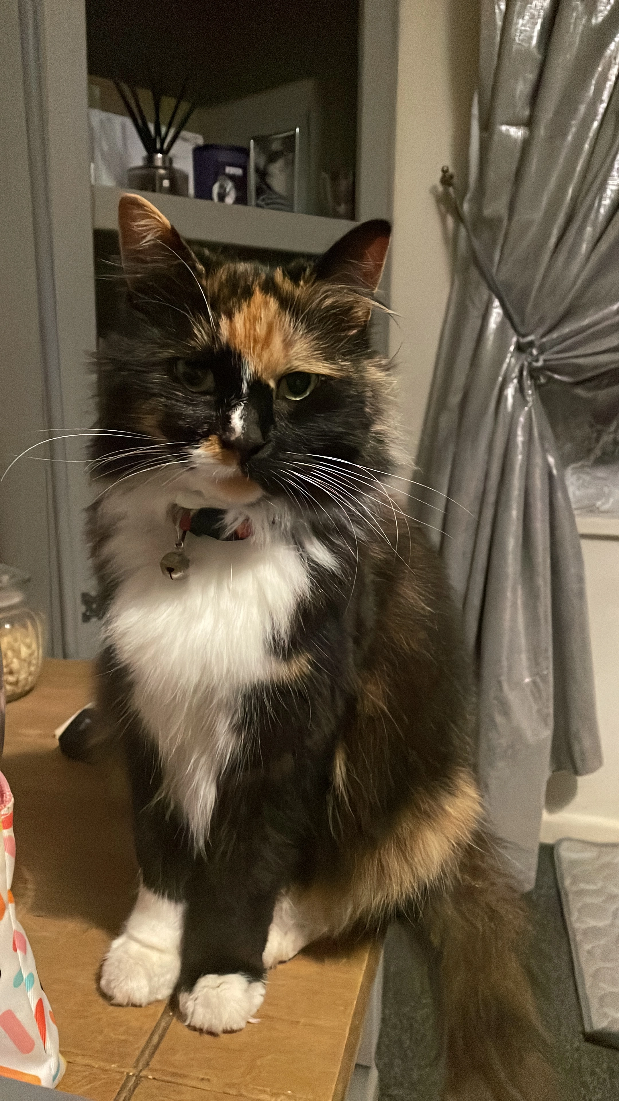 Athena - Longleat Close, Banbury