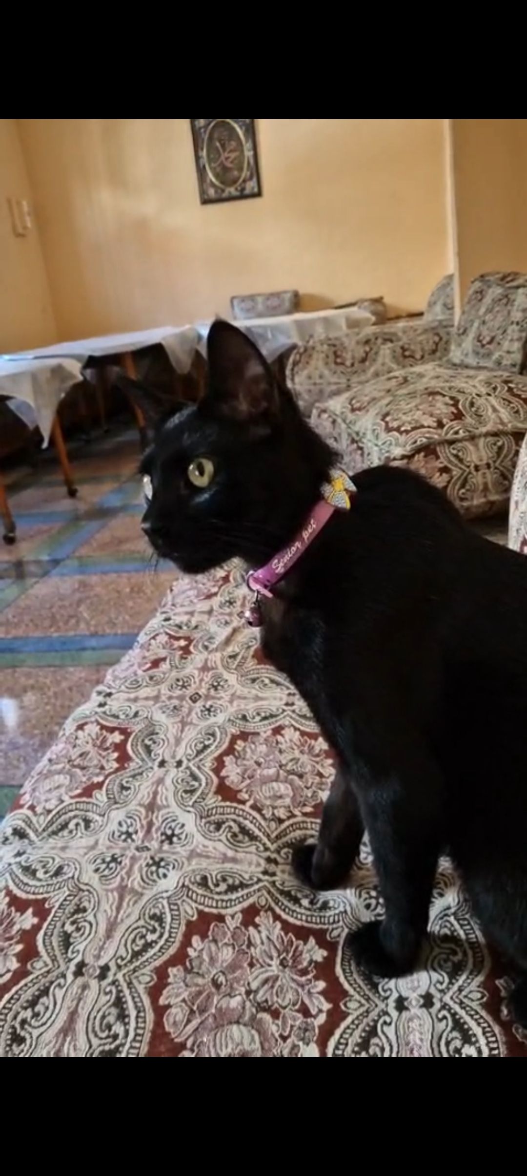 Simba - Rue Beni Nsar, Nador