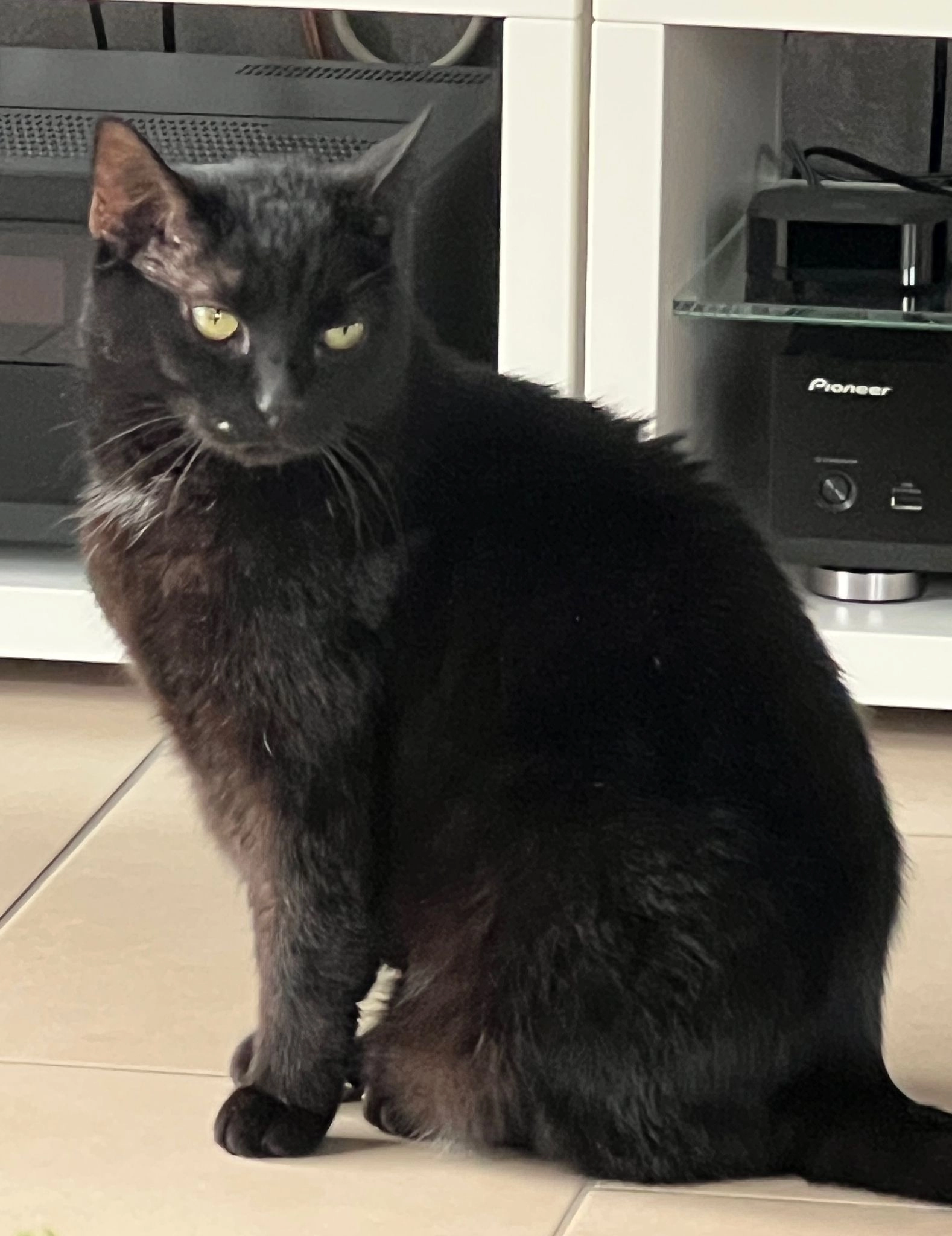 Hucki - Am Thurmacker, Dortmund