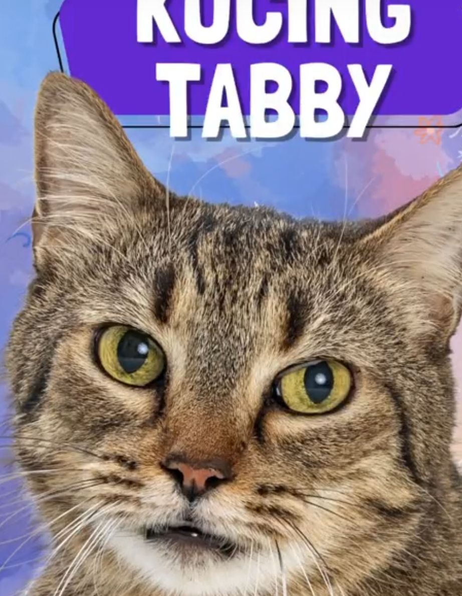 Miao miao - 31650, Ipoh