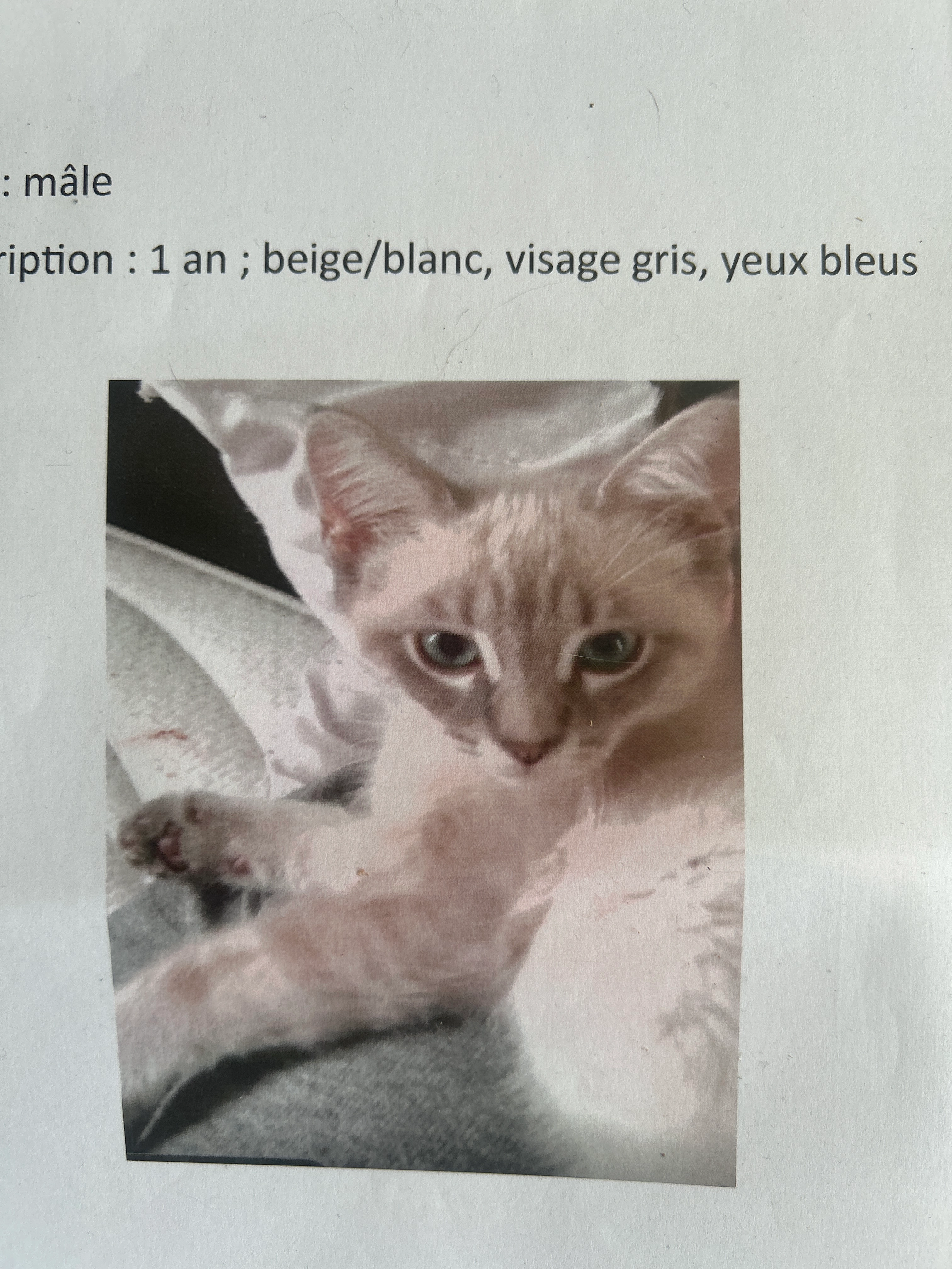 Link - Côteau St Hélène, Vienne