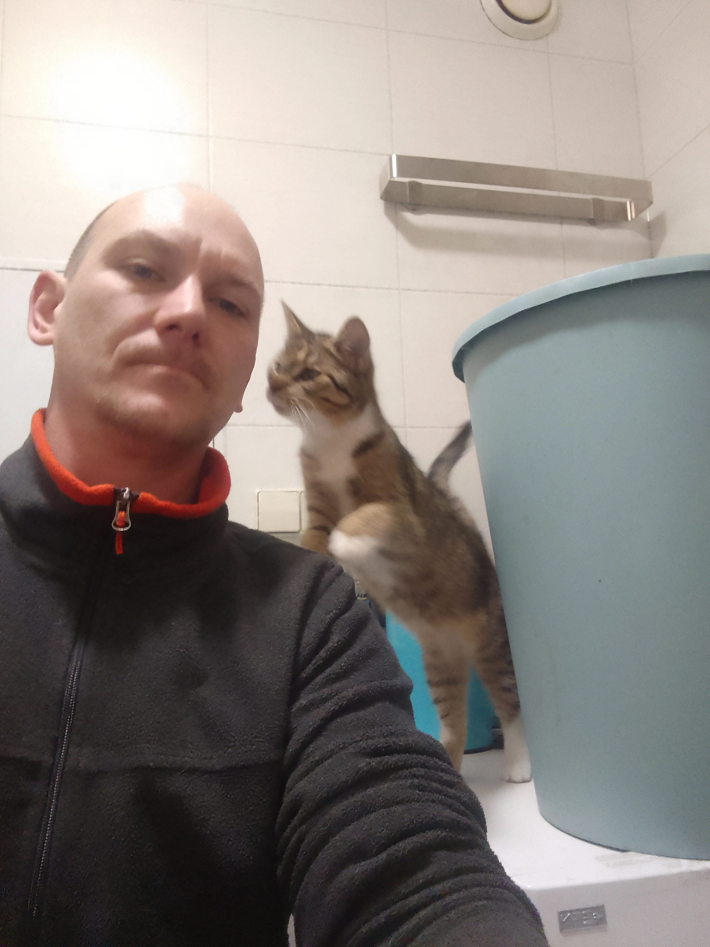 Digger - Karl-Marx-Straße, Osterburg