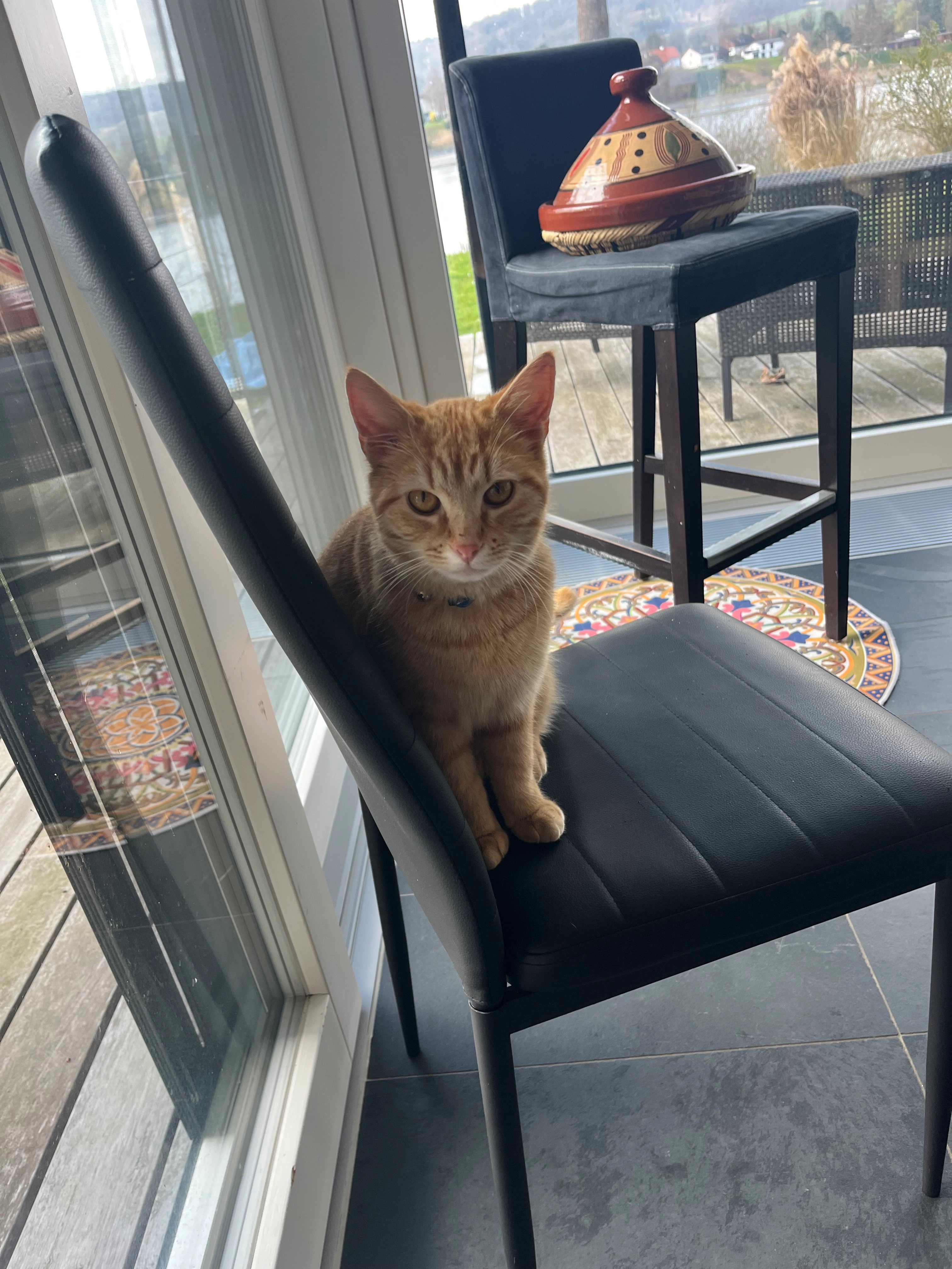 Cyrano - Hoseweg 5, Stein am Rhein