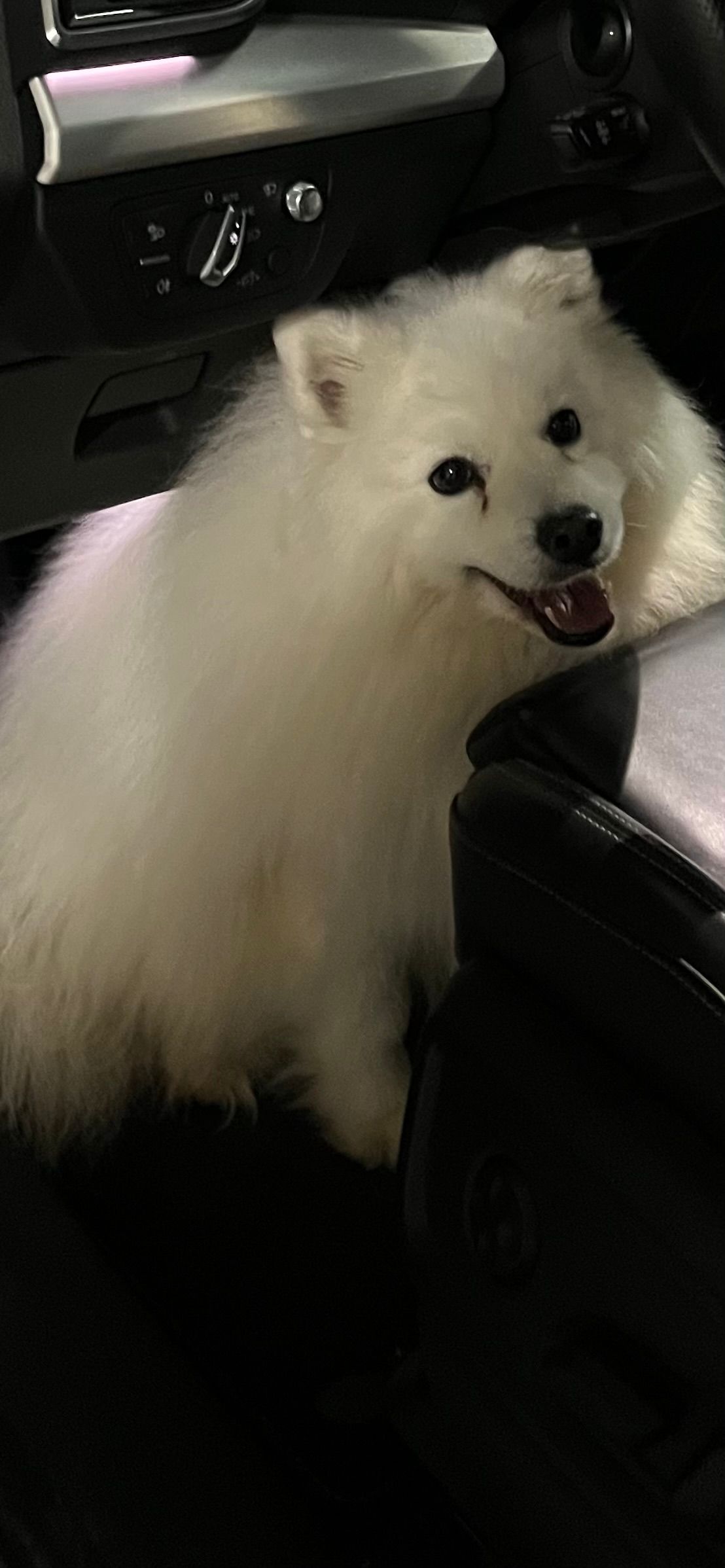 Kitsun  - 163 Impasse du Château de Polinge, Reignier-Ésery