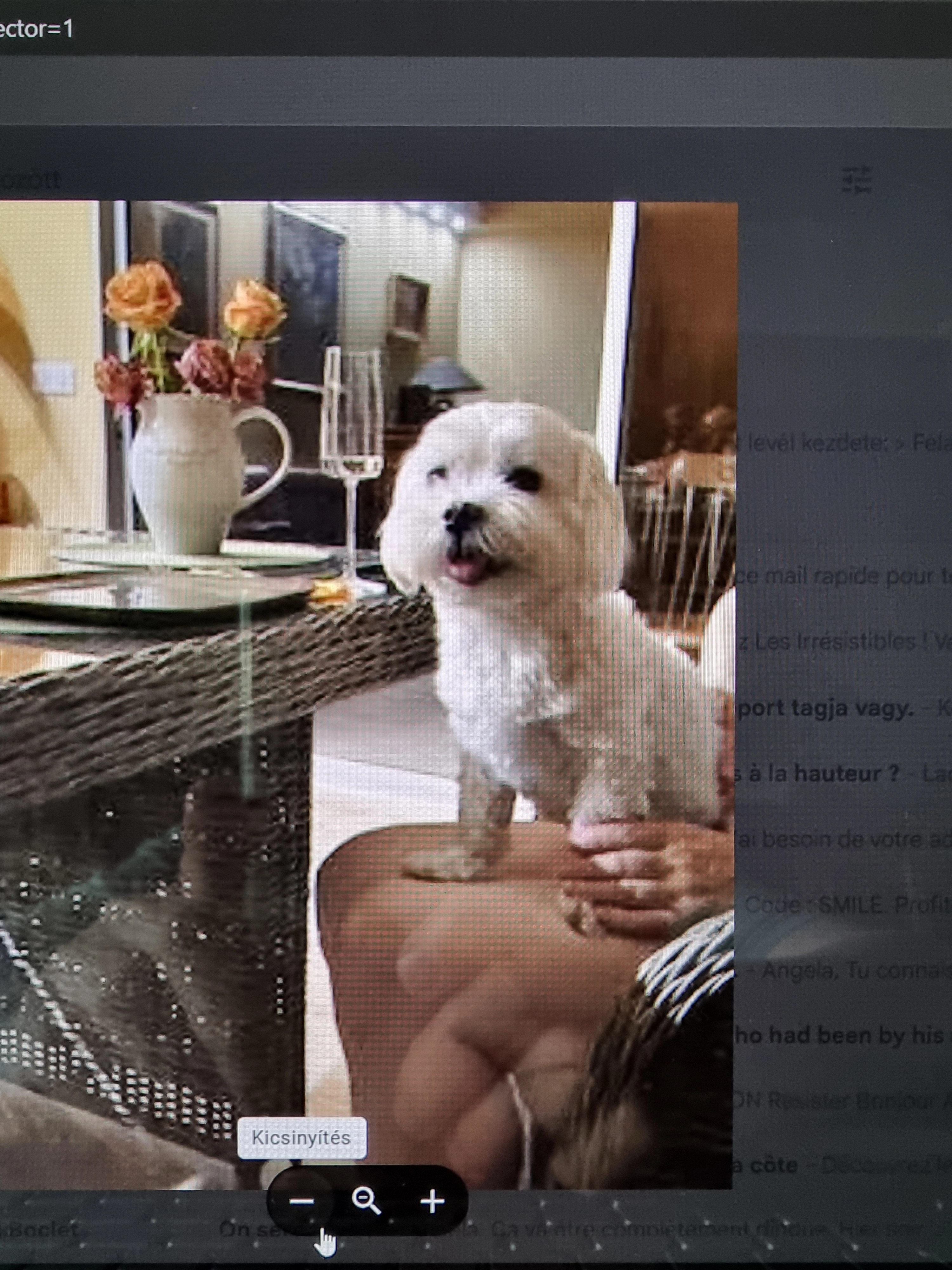 BENNY  - 7 Rue Ferdinand Bac, Menton