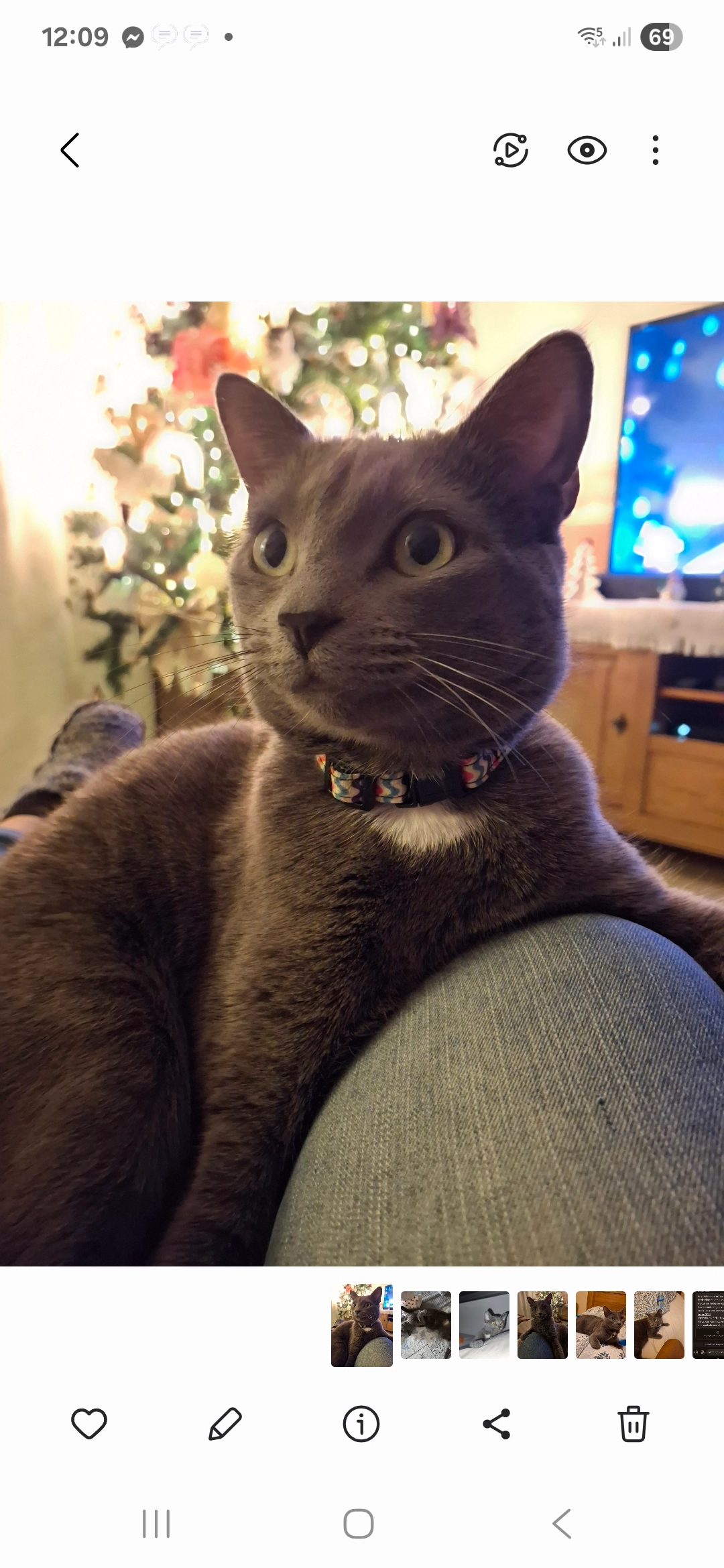 U cela se prononce you - Impasse de la Renaissance, Villeneuve-sur-Lot