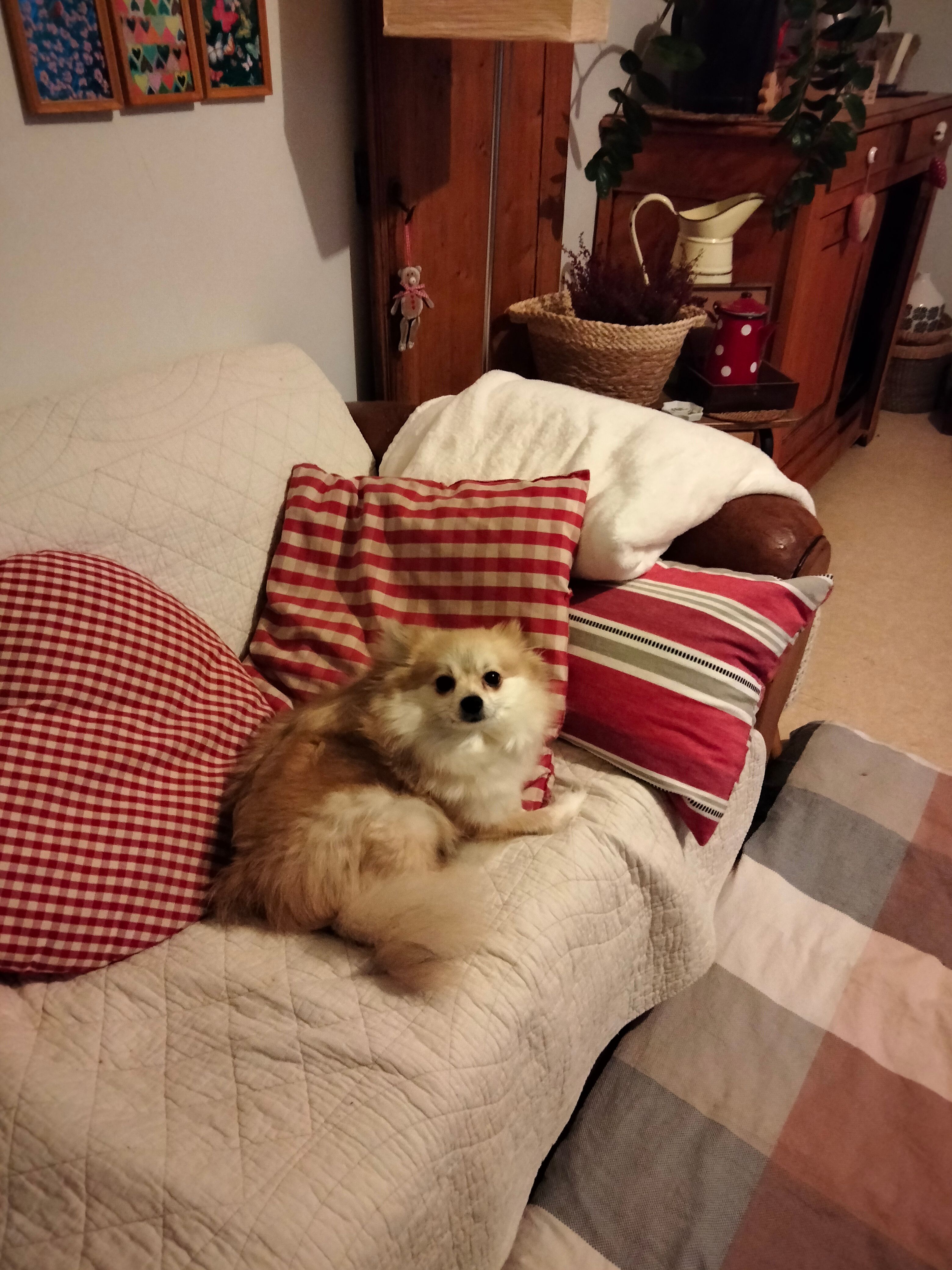 Chanelle - Rue du Stade, Aubigny-Les Clouzeaux