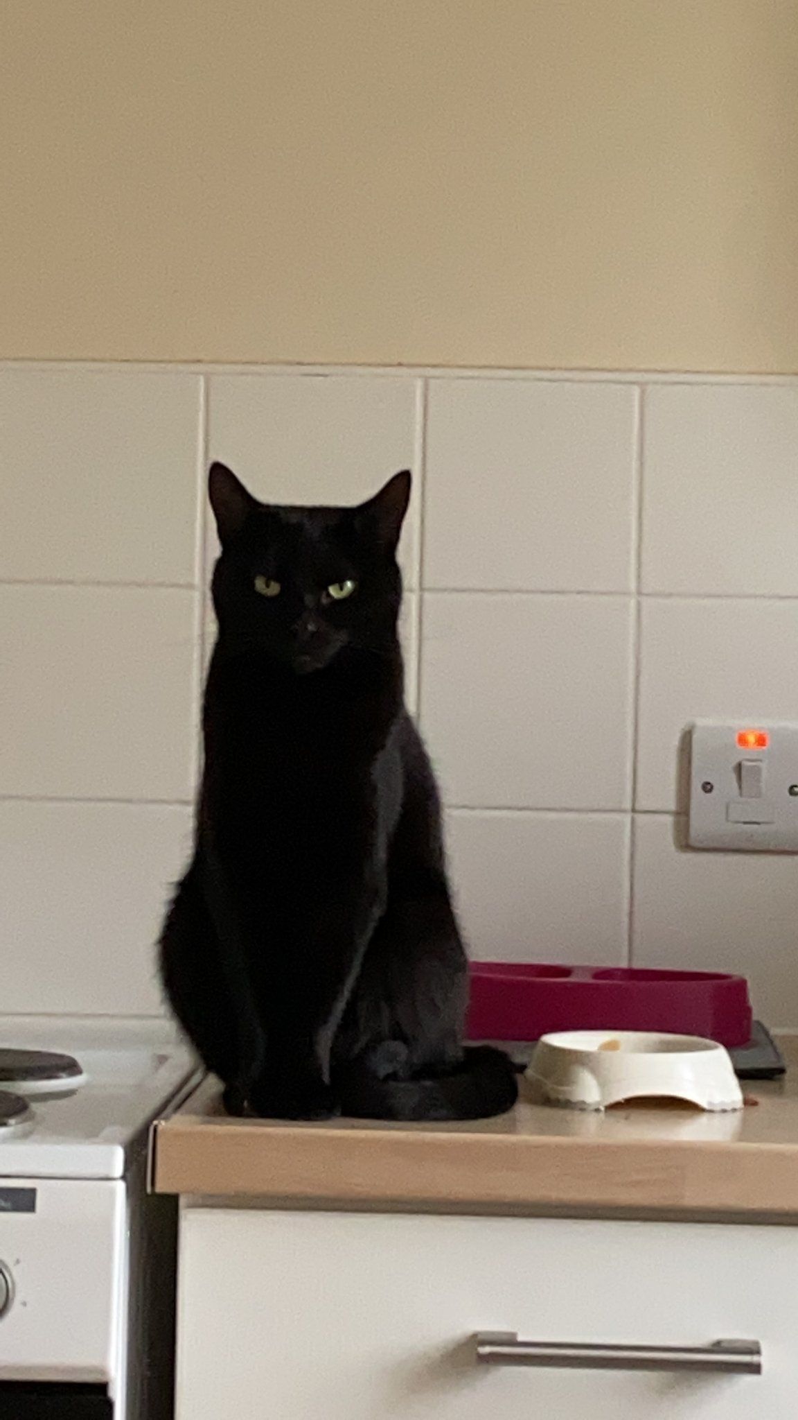 Coco - Ewloe Drive, Llandudno