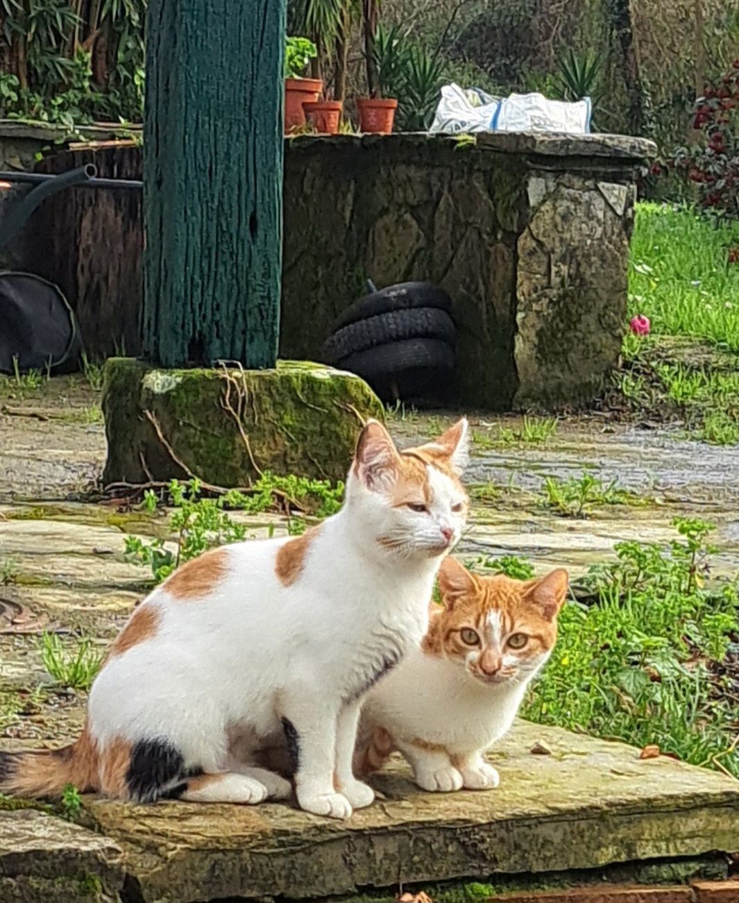 Mari - Barrio Garaioltza, Lezama