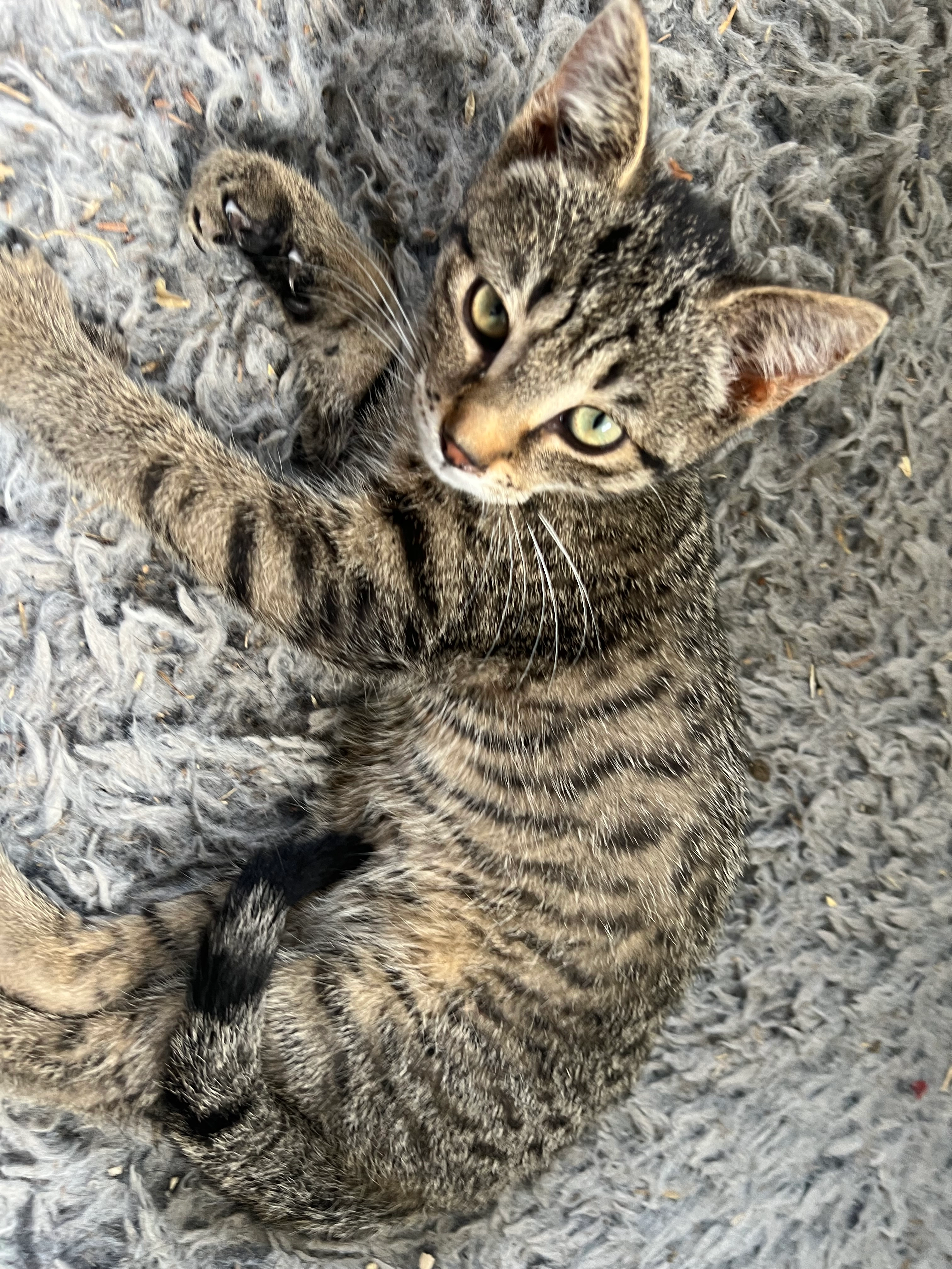 baby - Slingerpad, Zeewolde