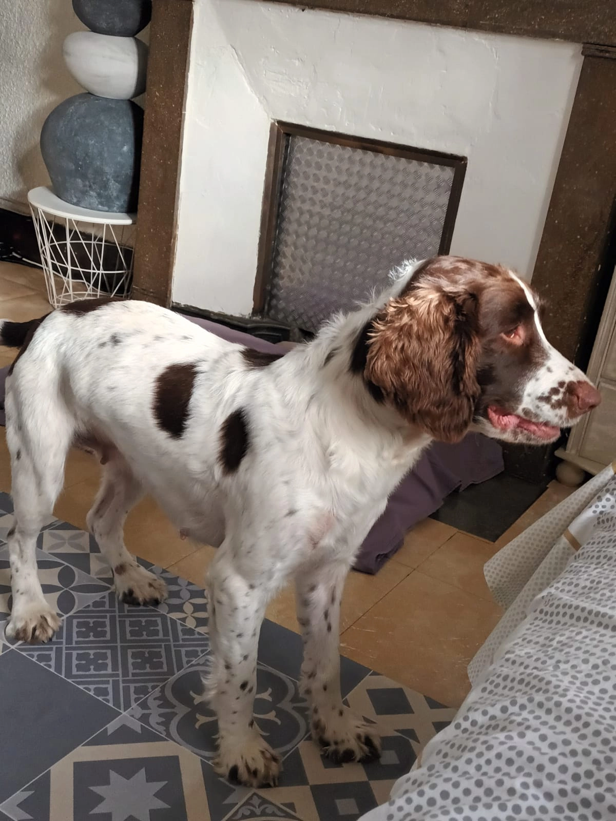 Opale - Place de l'Église, Montluel