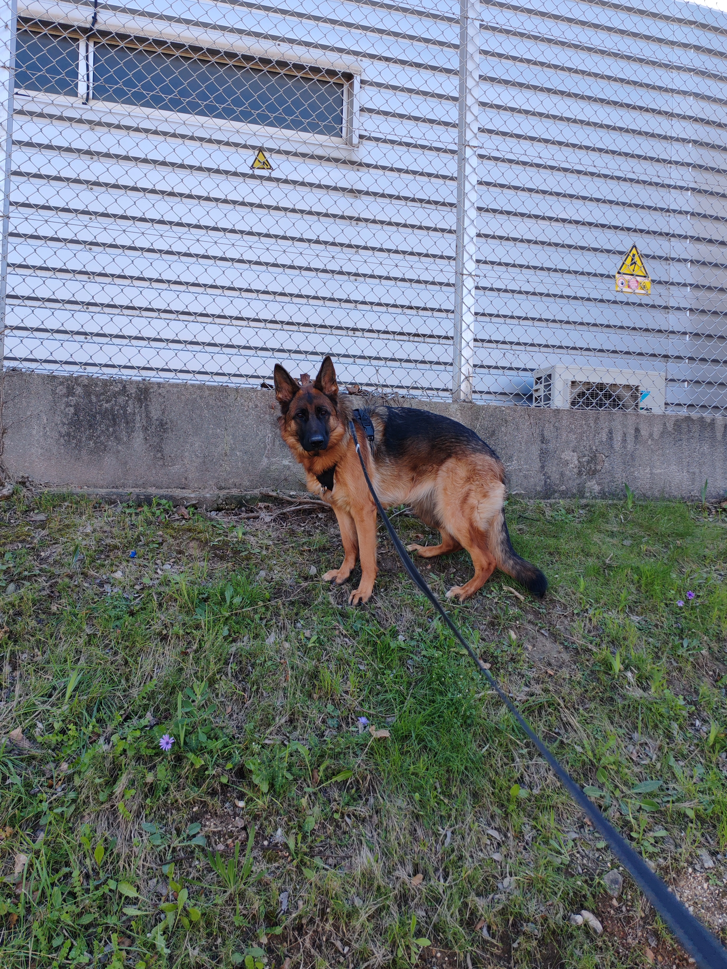 Joyce  - 83 Impasse du Pont d'Aran, Bandol