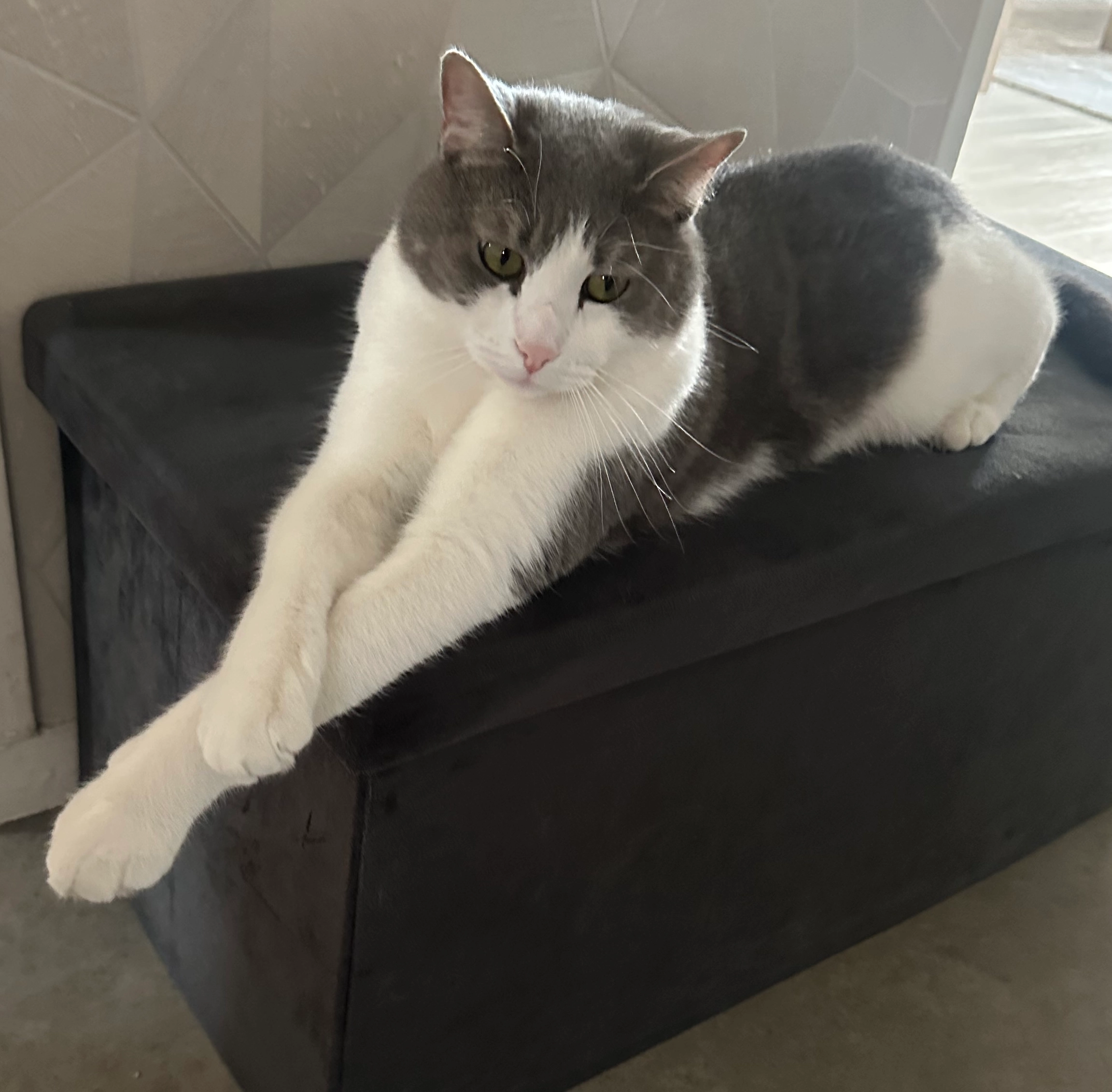 Mino - 57 Boulevard Vauban, Saint-Memmie