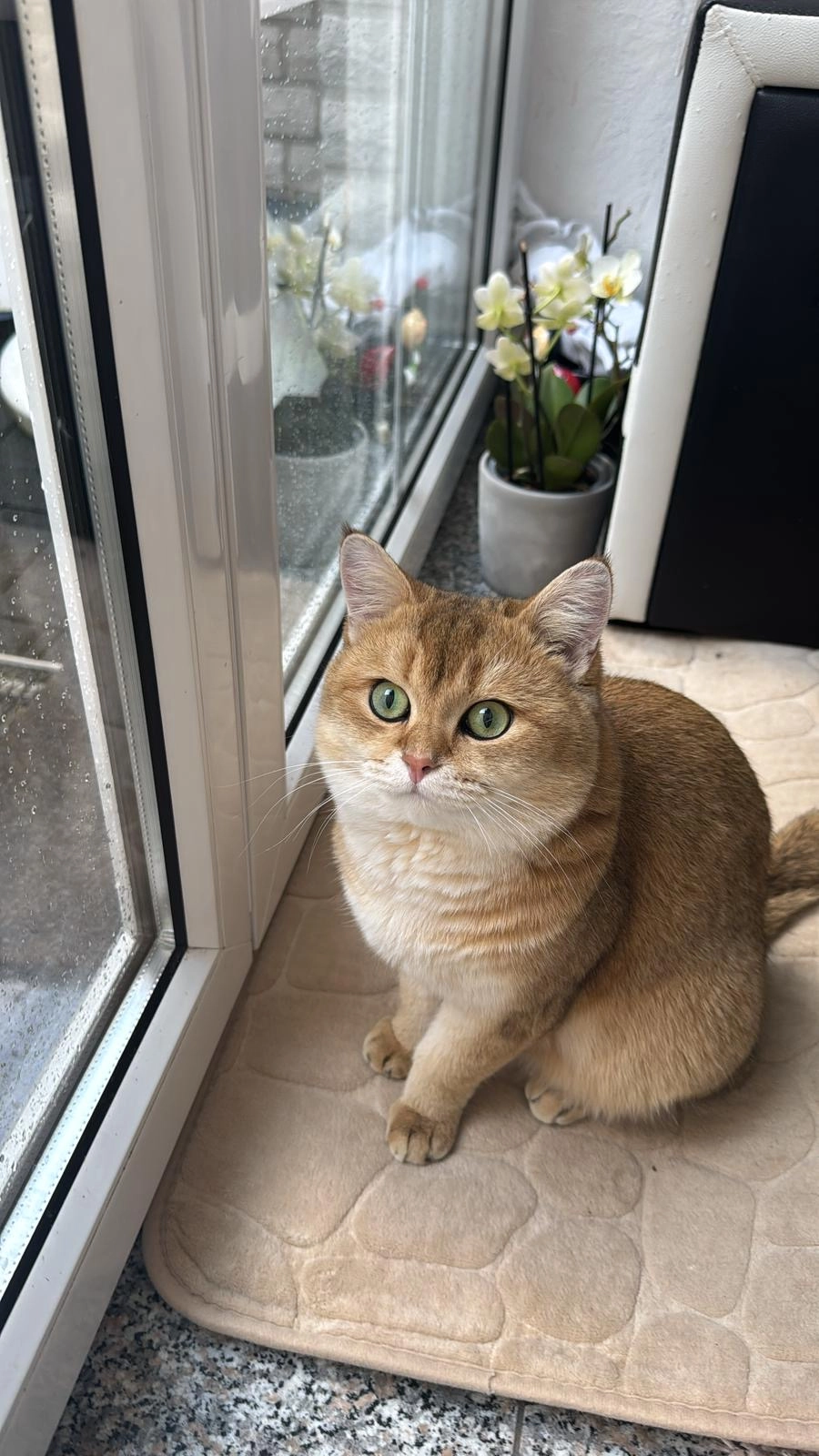 Topi - Johann-von-Binder-Straße, Rietberg